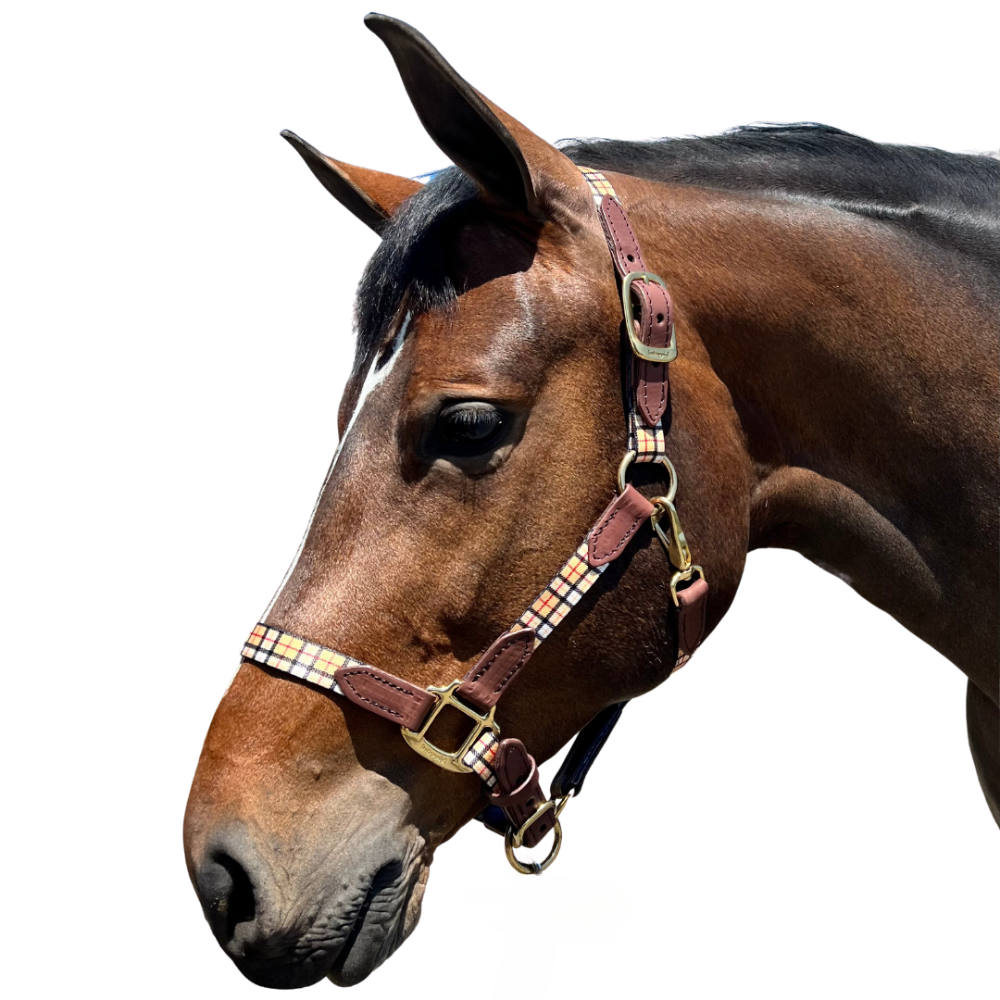 1" Highland Plaid Nylon Halter with Leather Accents