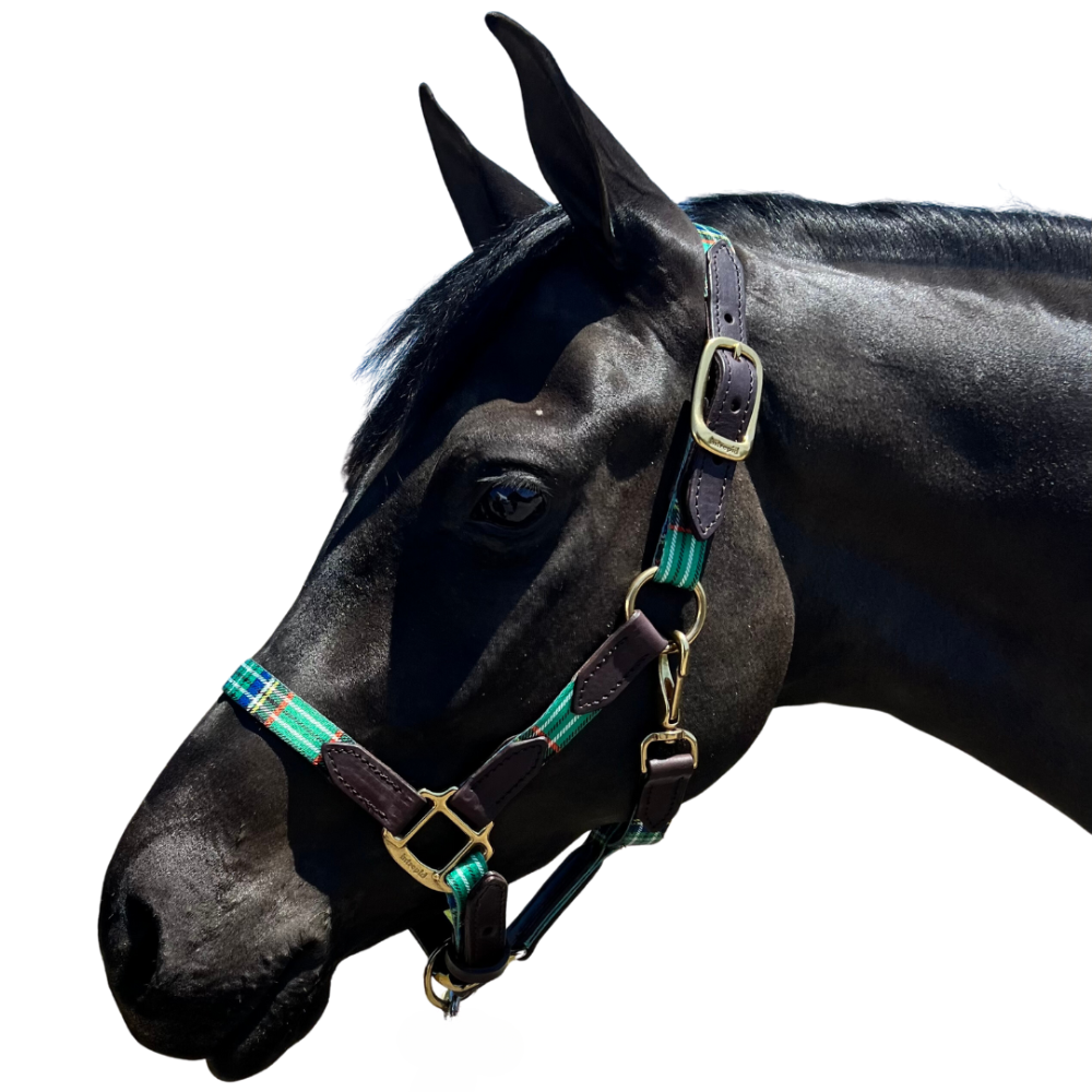 1" Highland Plaid Nylon Halter with Leather Accents