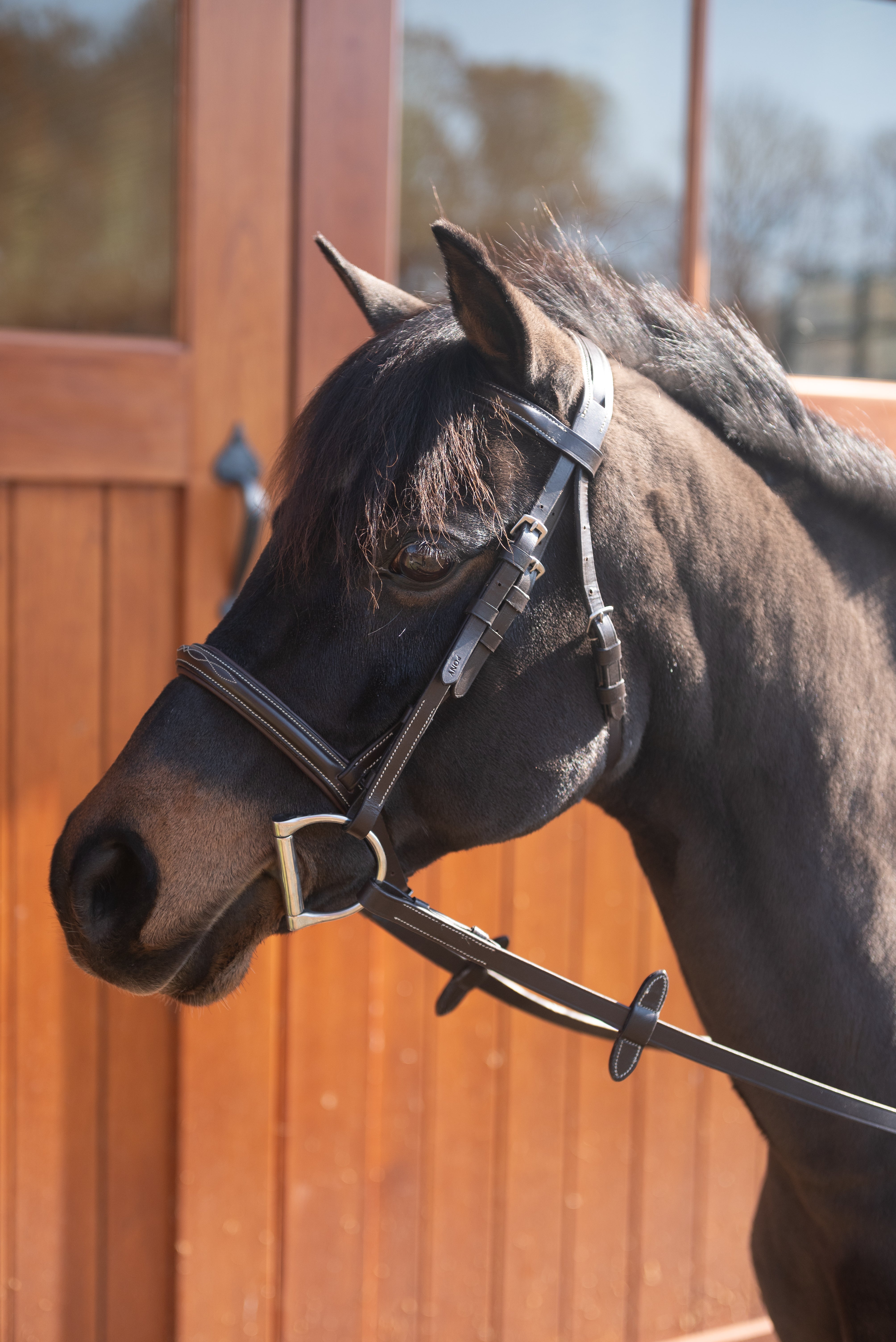 Pro-Trainer Silver Fancy Raised Padded Bridle - Brown
