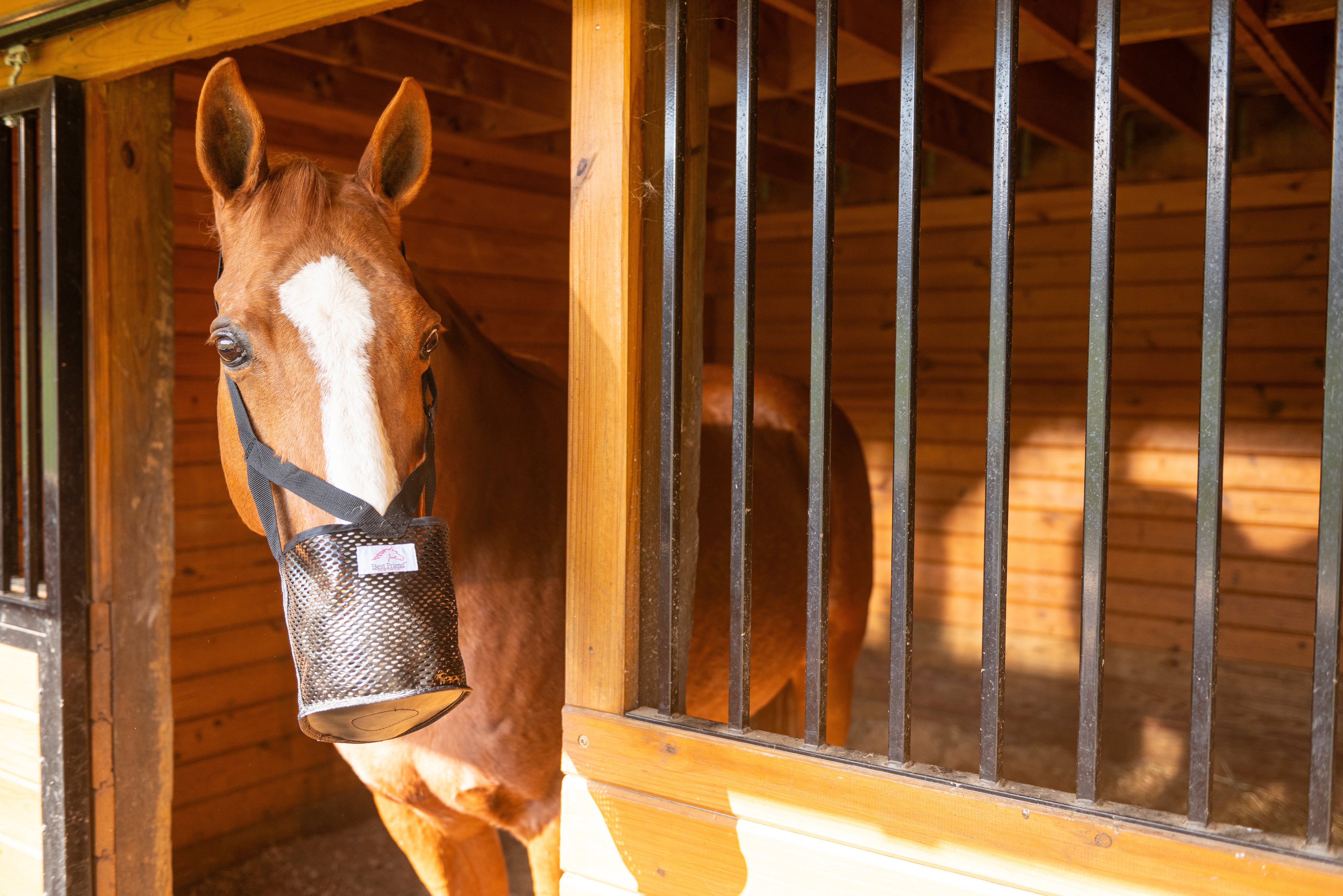 Best Friend Soft Stall Muzzle