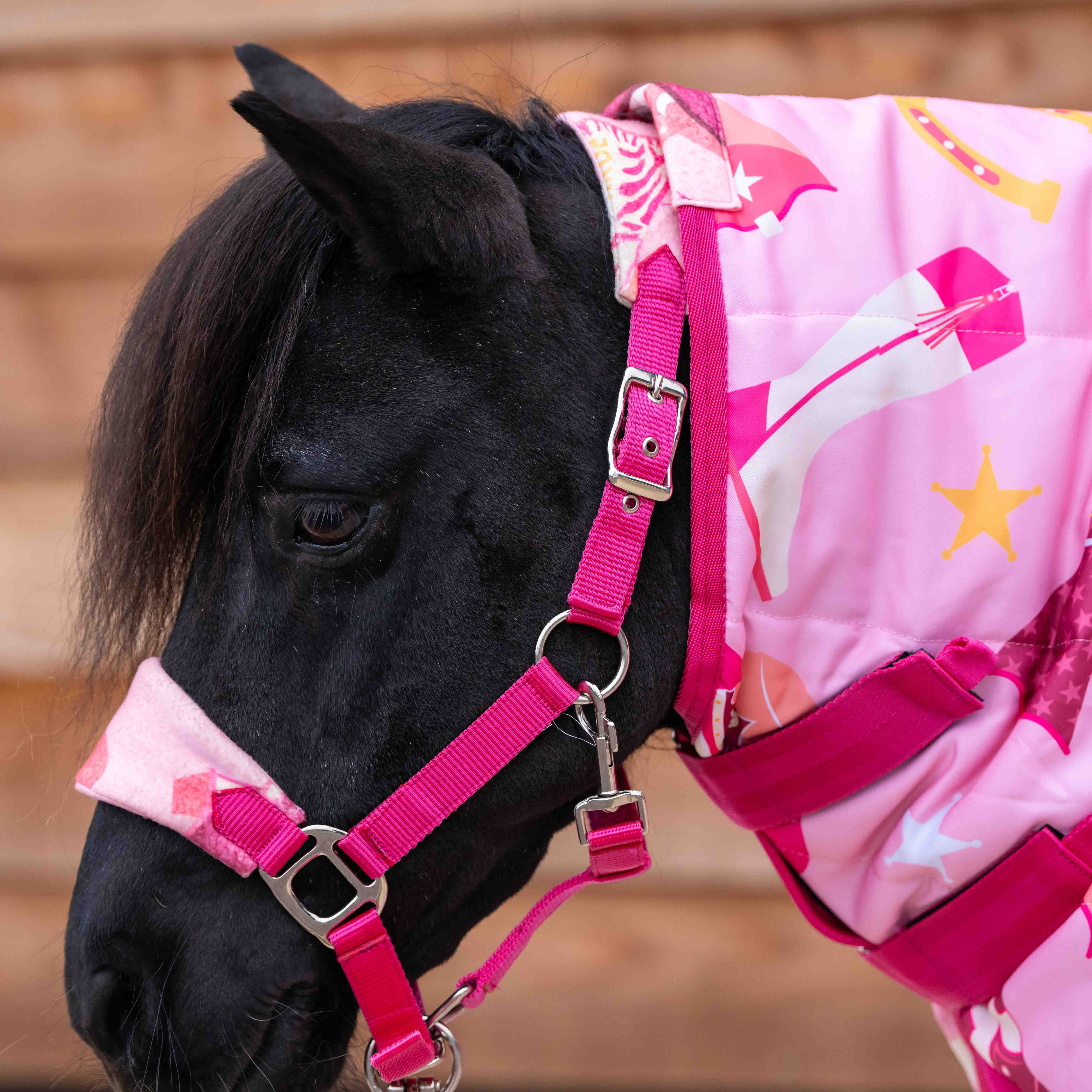 Ponyo Horsewear Country Star Stable Rug