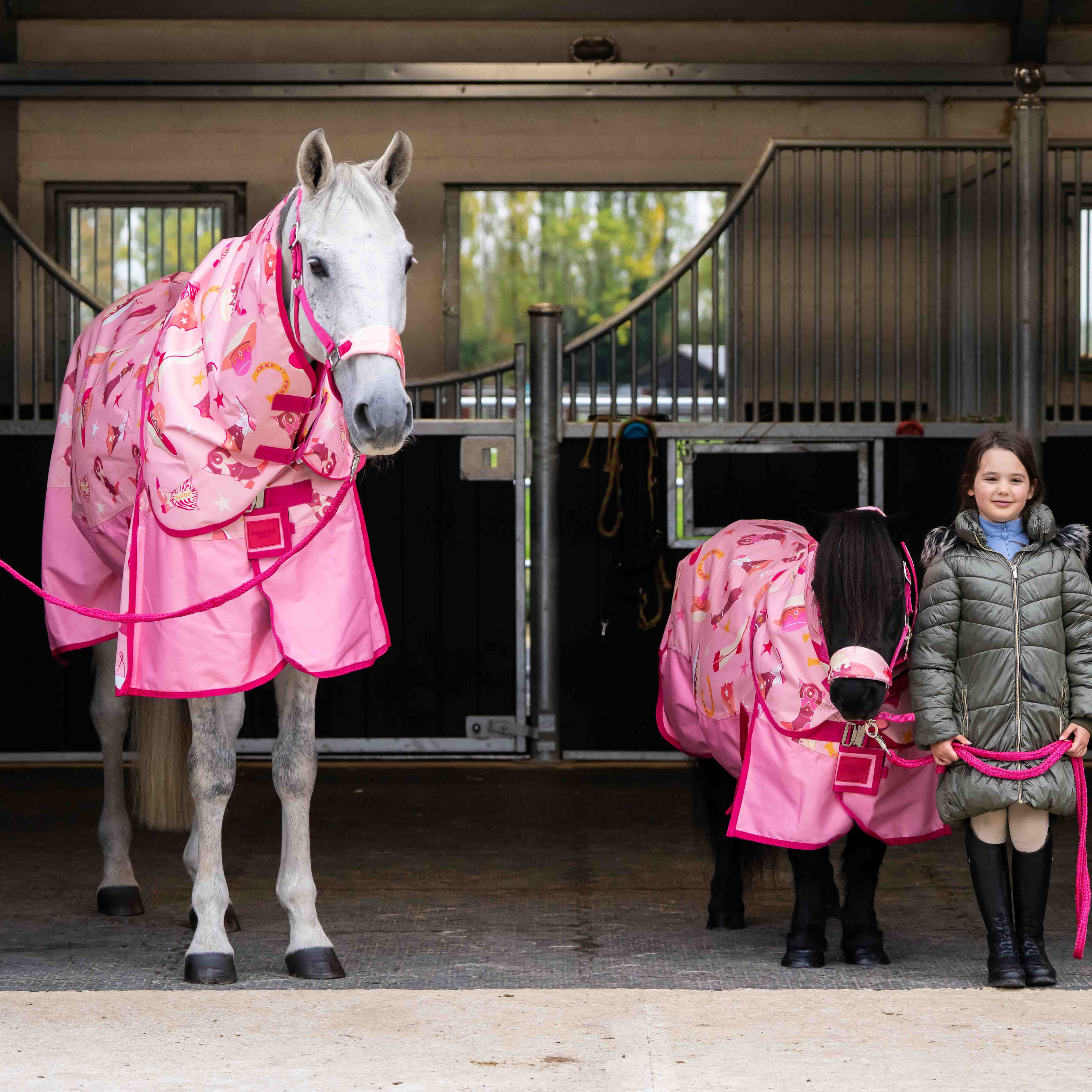 Ponyo Horsewear Country Star Turnout Rug