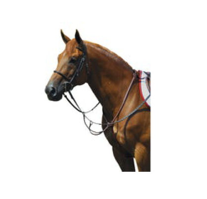 Exselle Elite Fancy High Raised Breastplate with Attachments