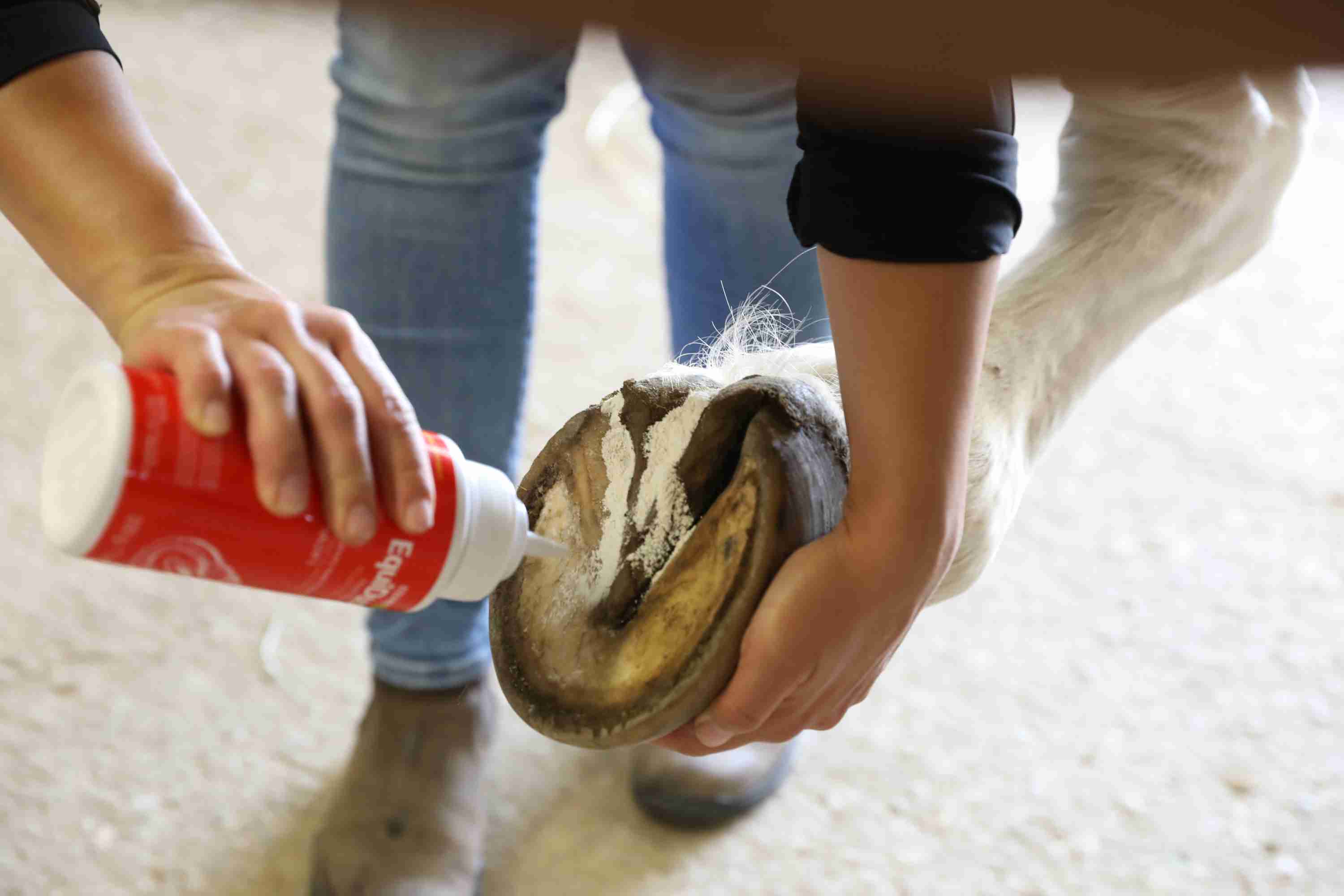 Equine One EquiDust