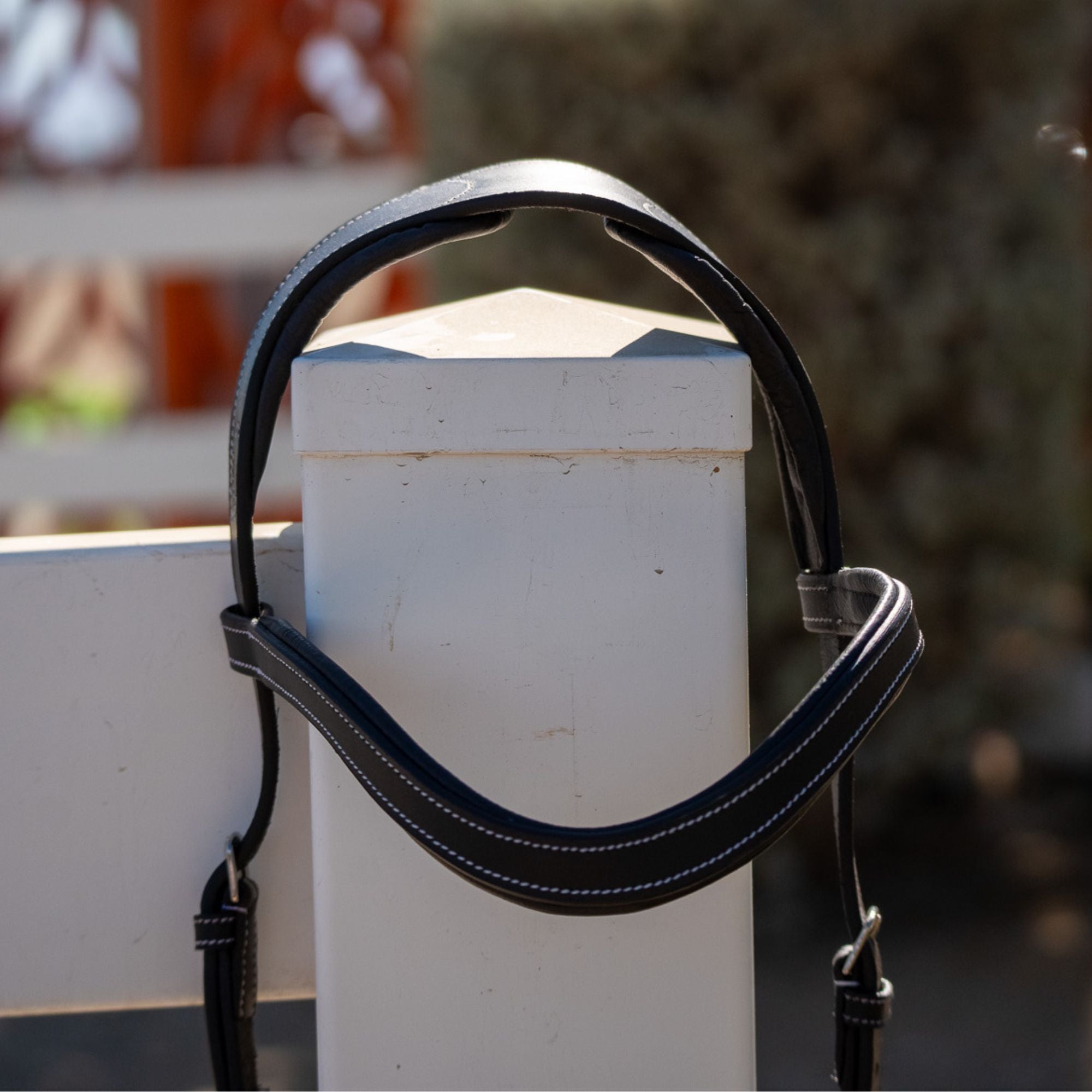 Millbrook Freedom Bridle