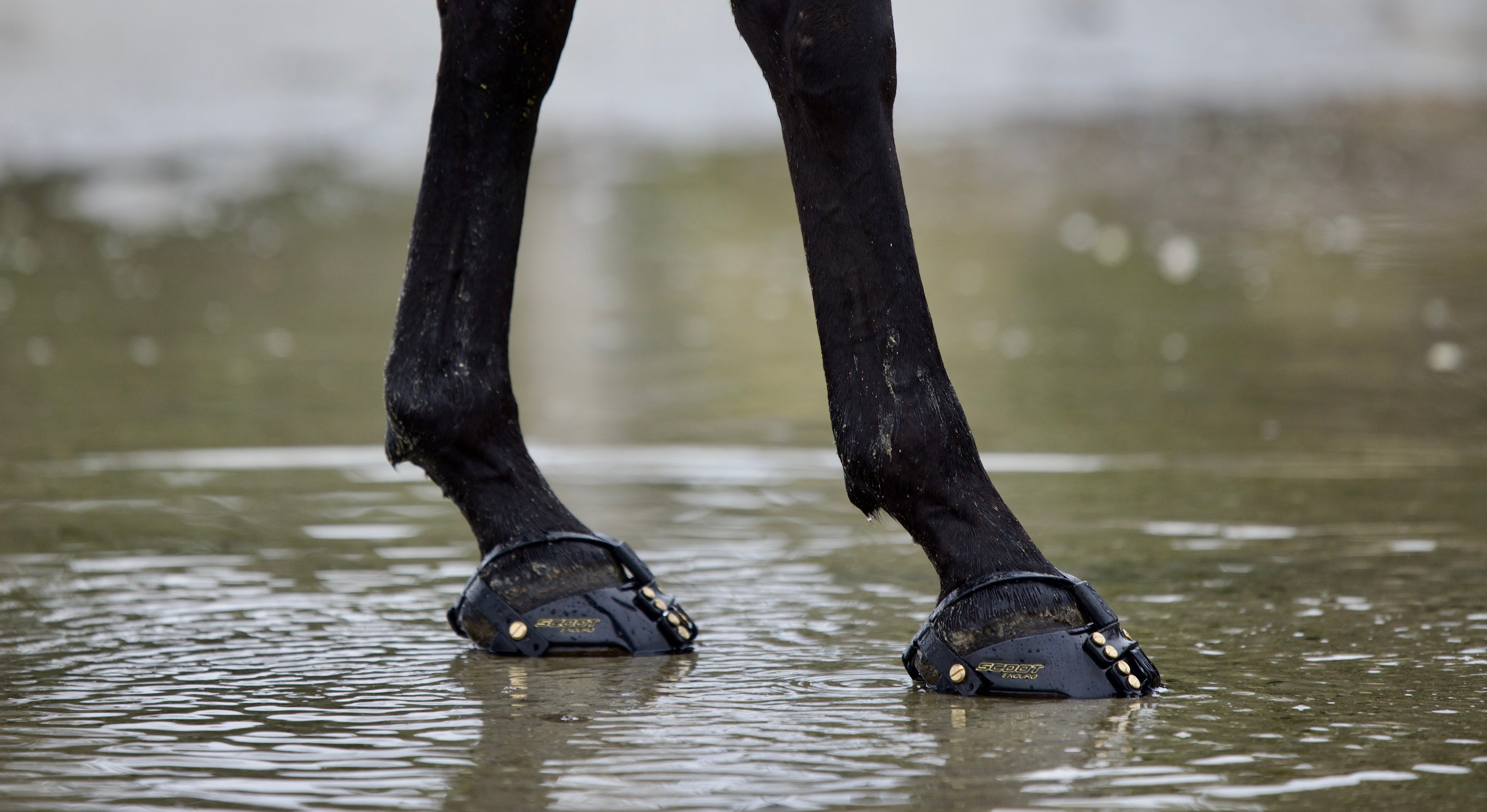 Scoot Boot Front Strap, Pack/6