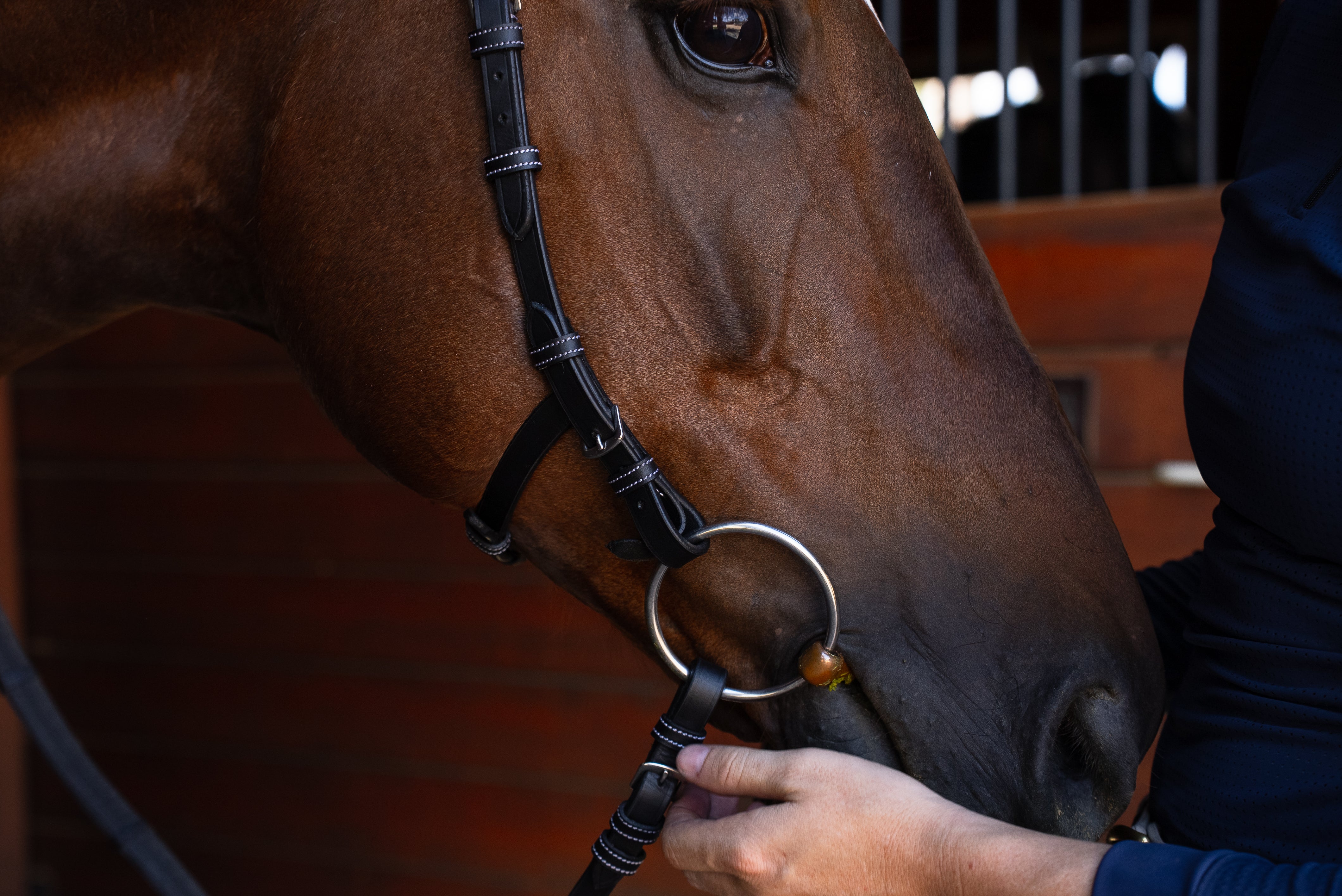 Millbrook Freedom Bridle