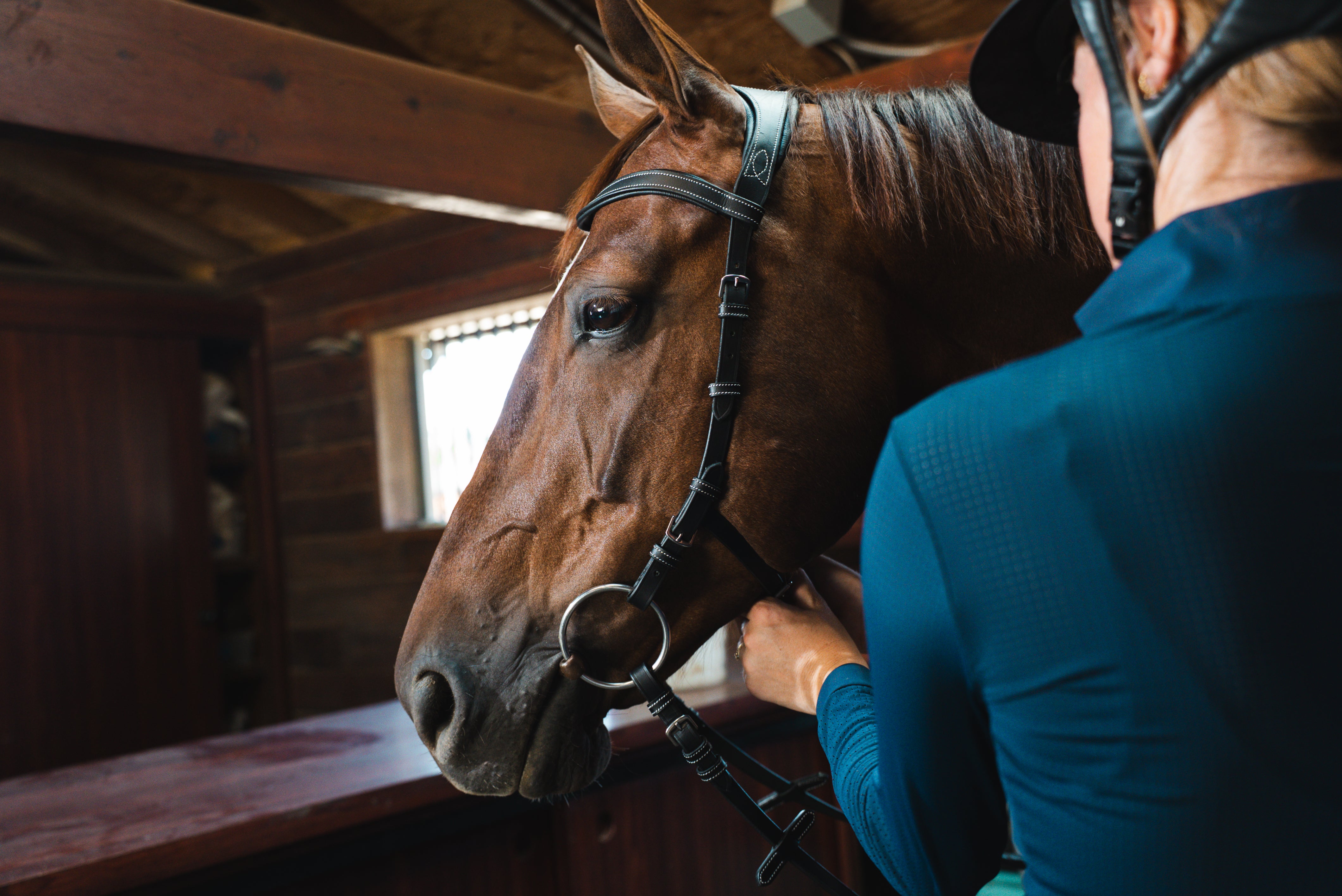 Millbrook Freedom Bridle