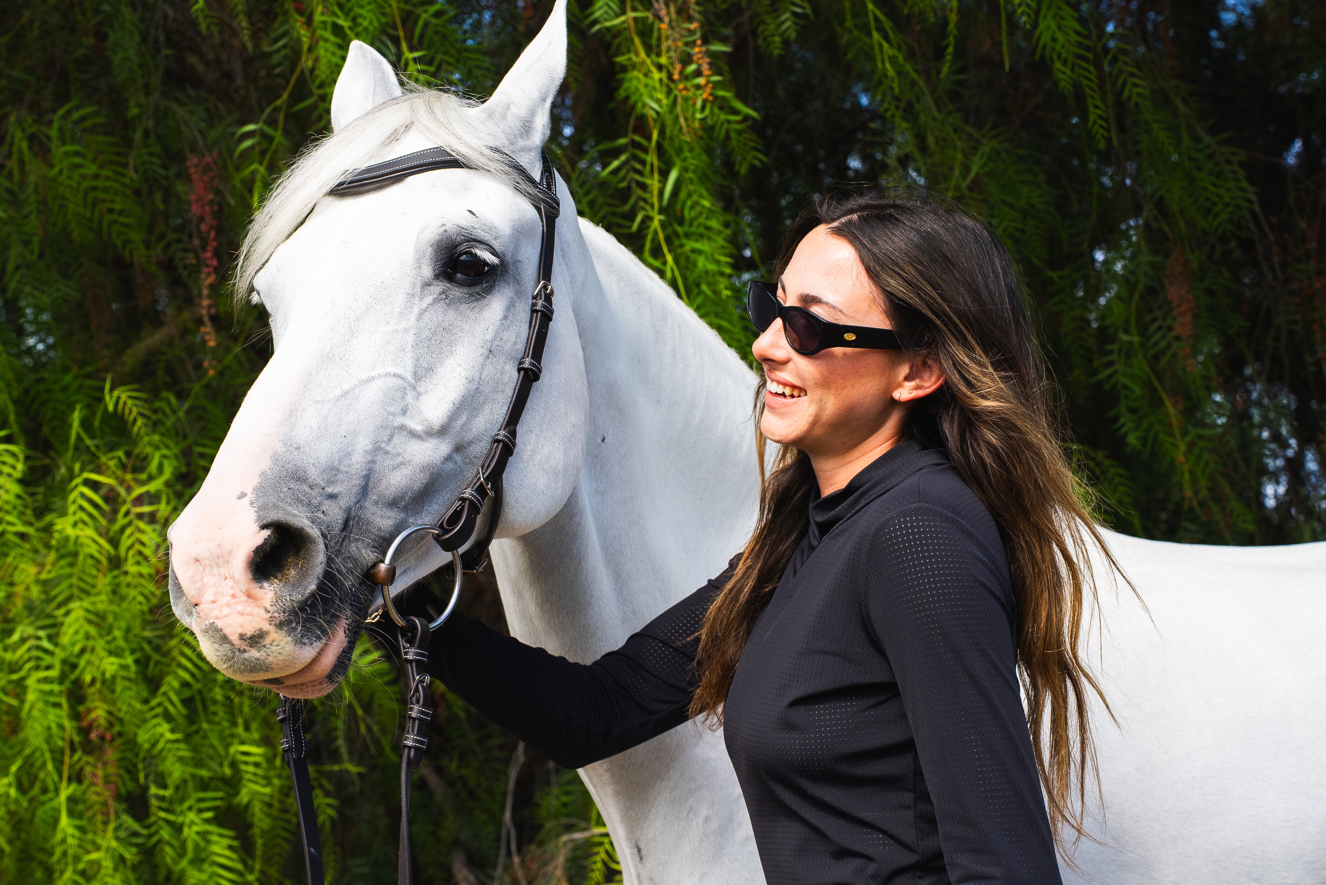 Millbrook Freedom Bridle