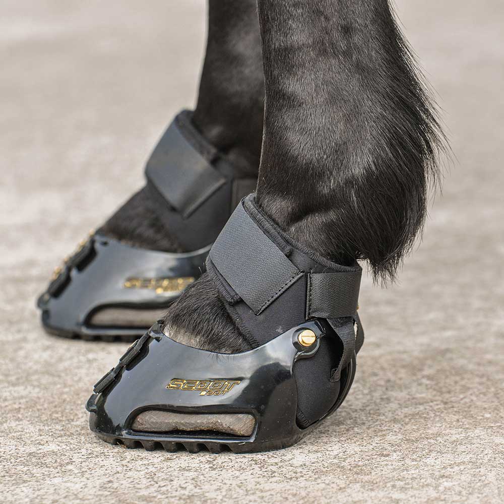 Scoot Boot MultiPurpose Gaiters