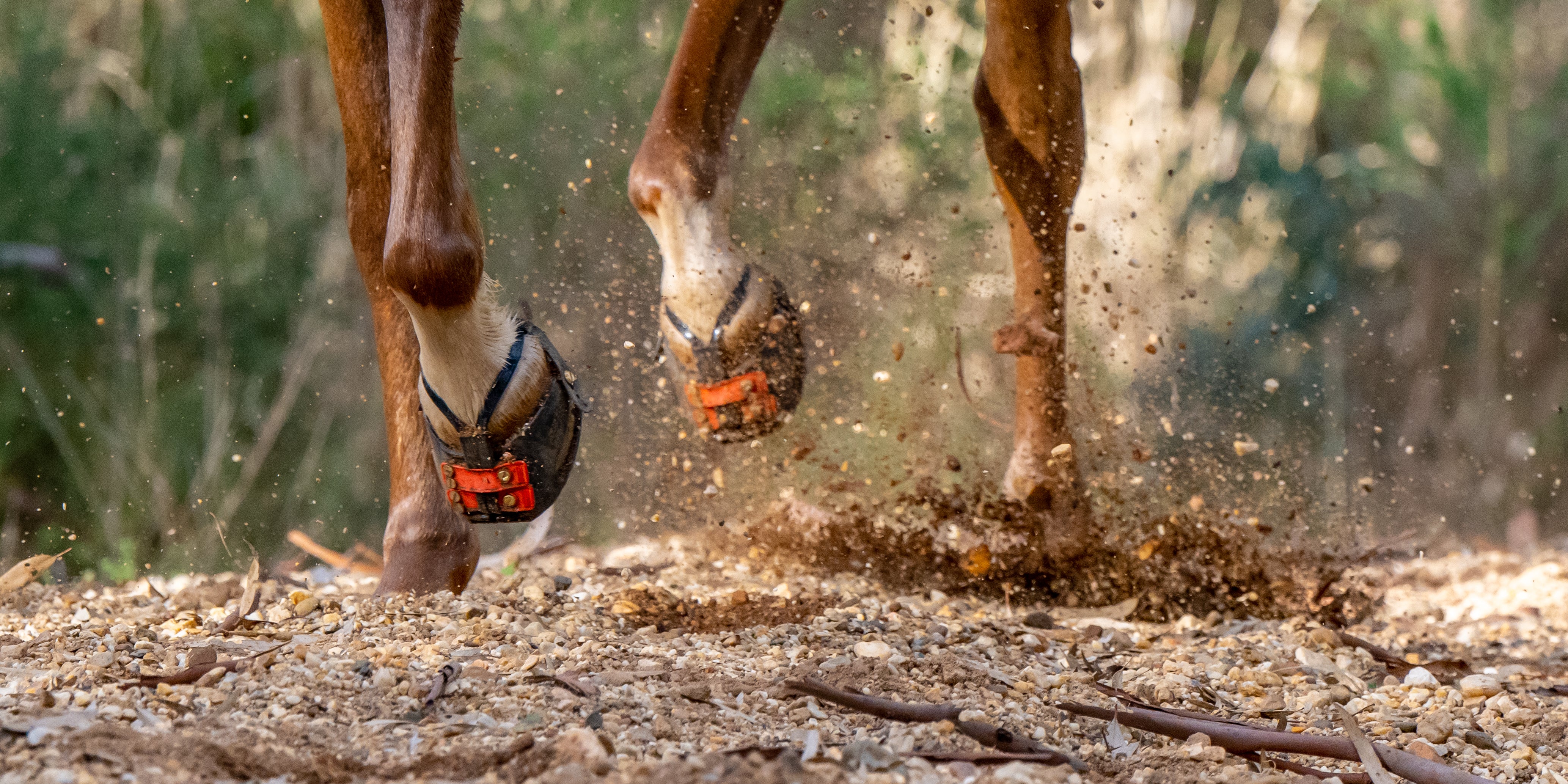 Scoot Boot Adjust Hoof Boots - Black