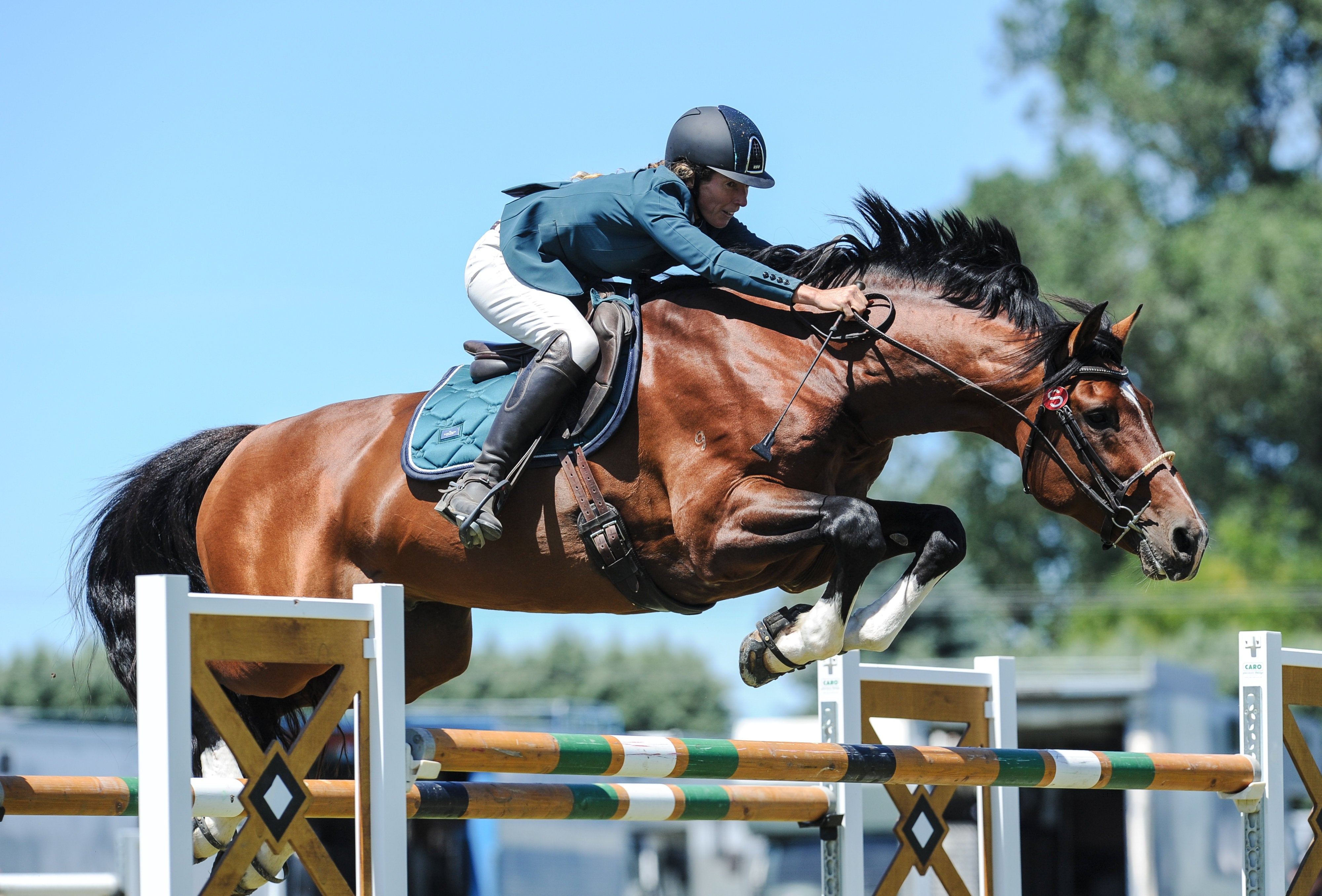 Scoot Boot Hoof Boots - Black