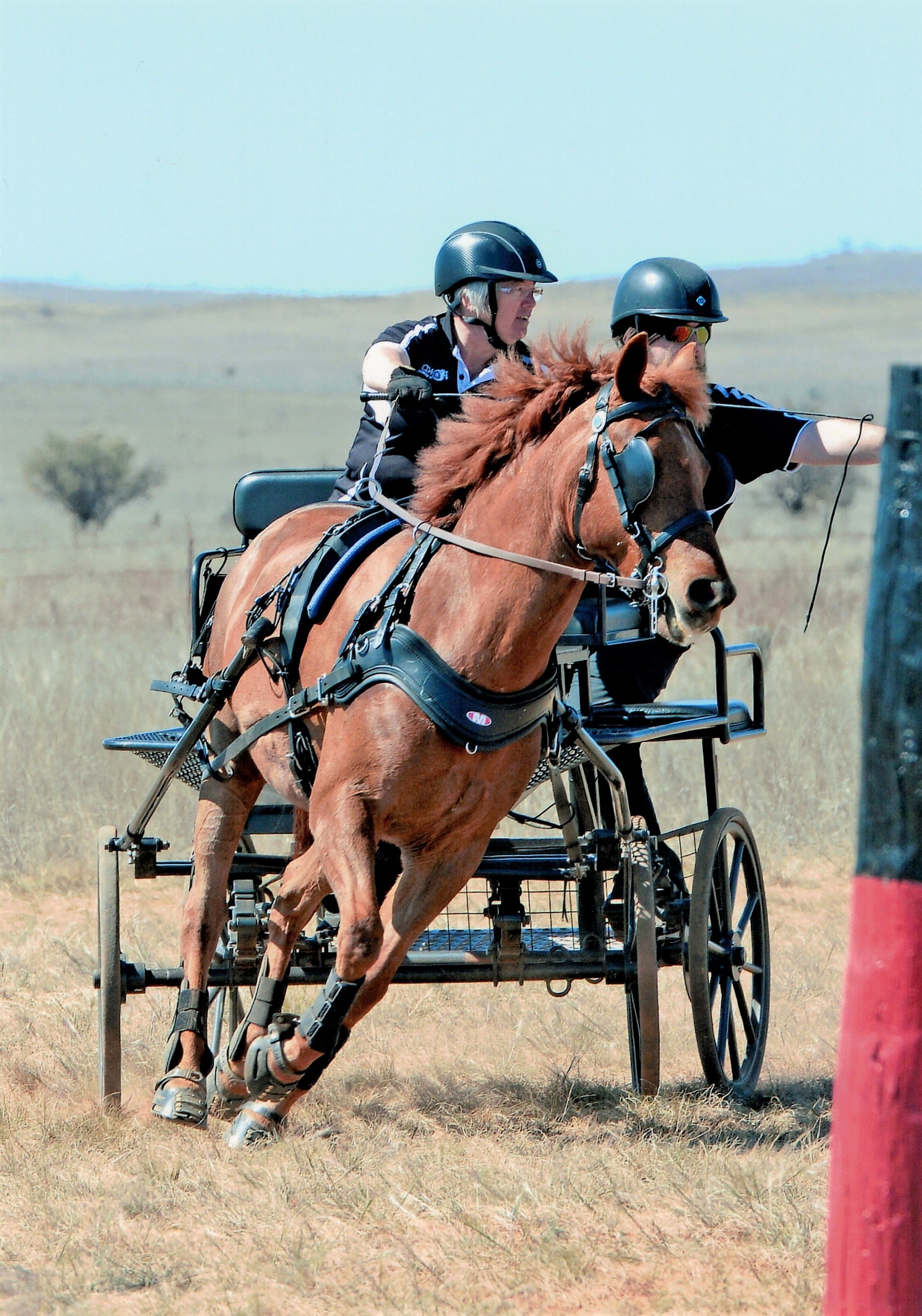 Scoot Boot Hoof Boots - Black