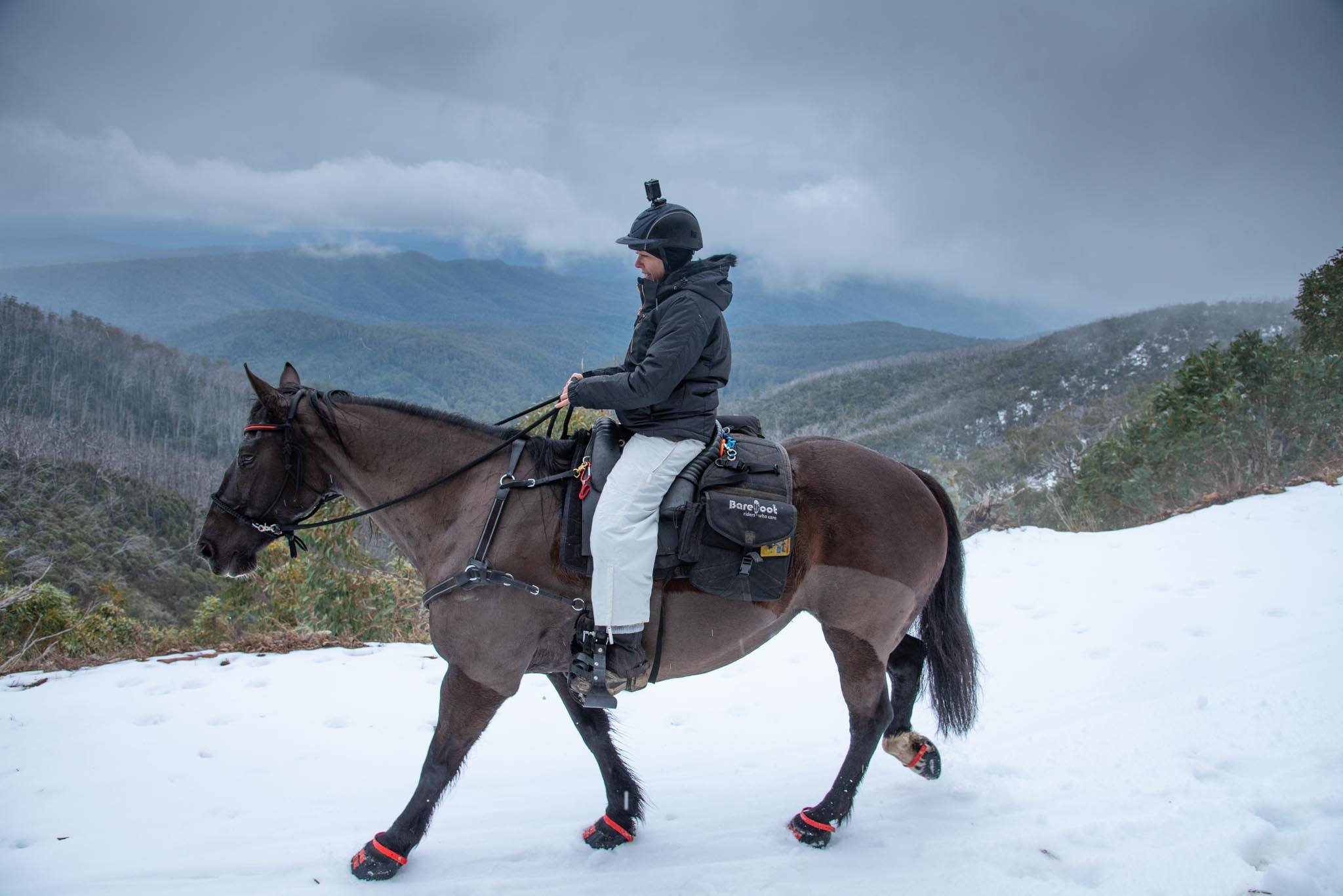 Scoot Boot Hoof Boots - Black