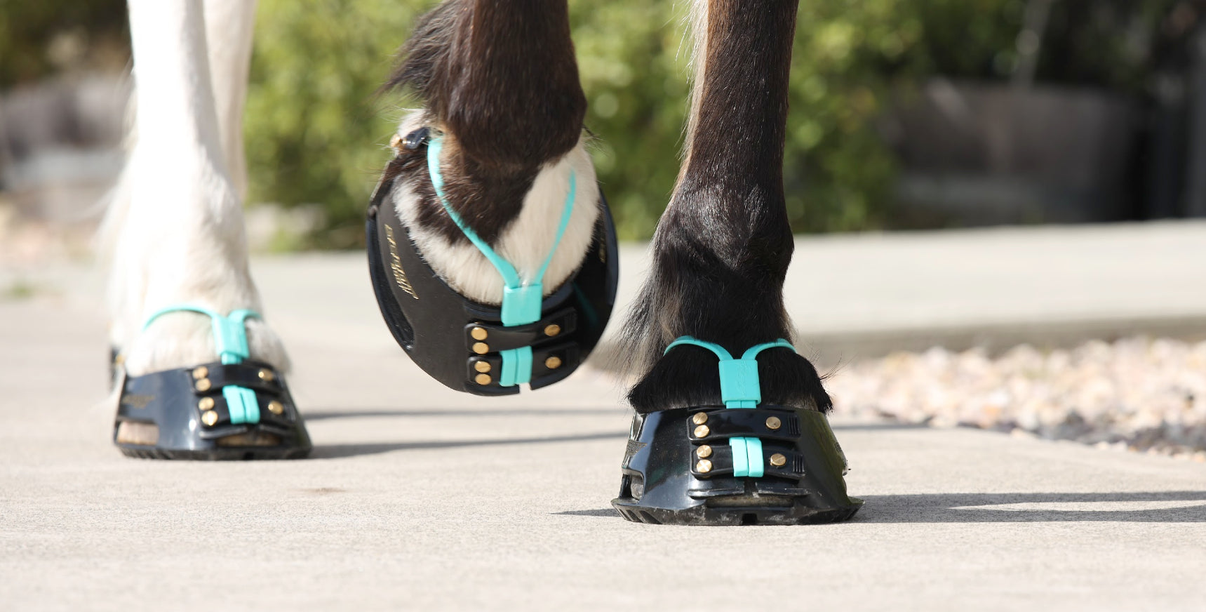 Scoot Boot Mud Straps Pack