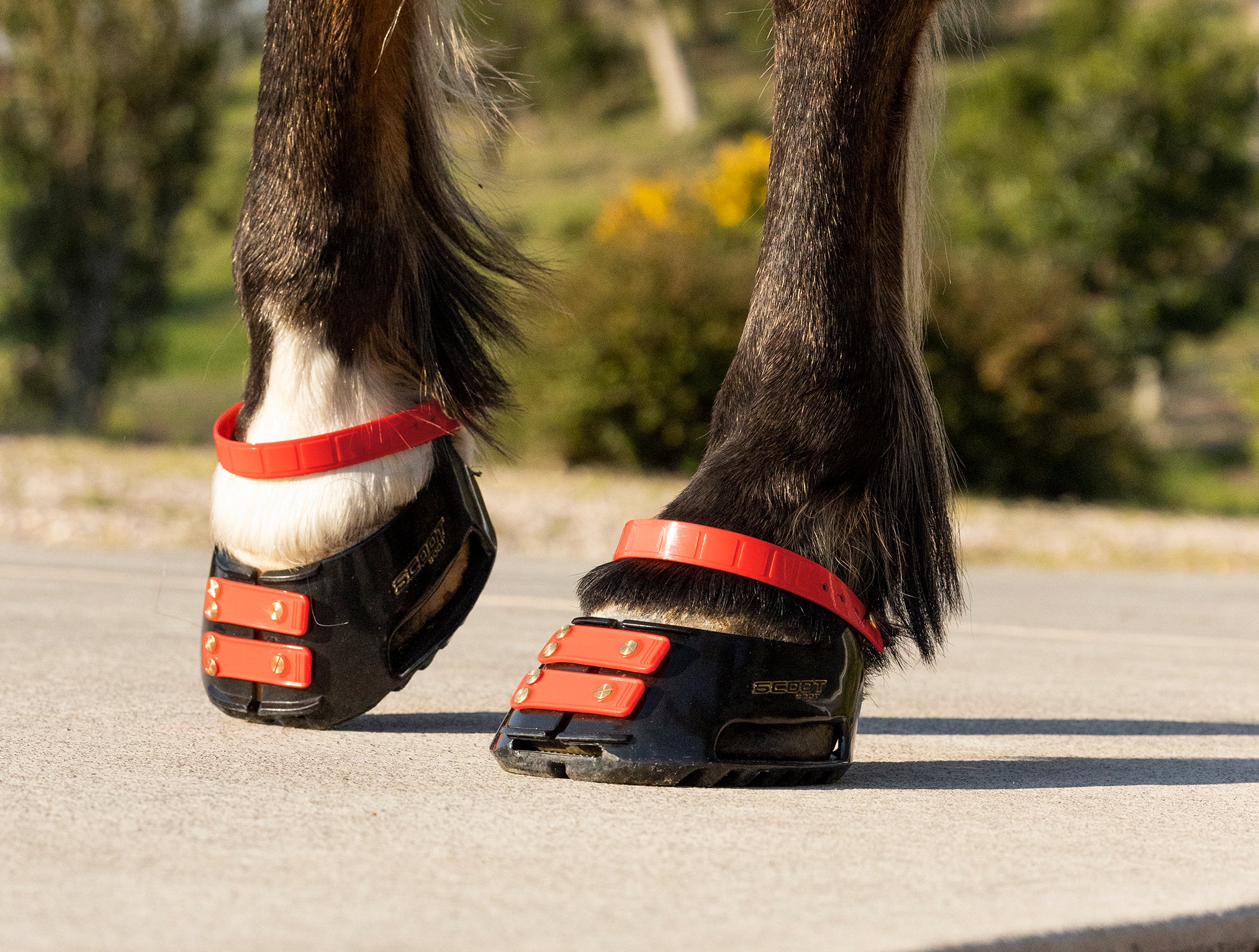 Scoot Boot Front Strap, Pack/6