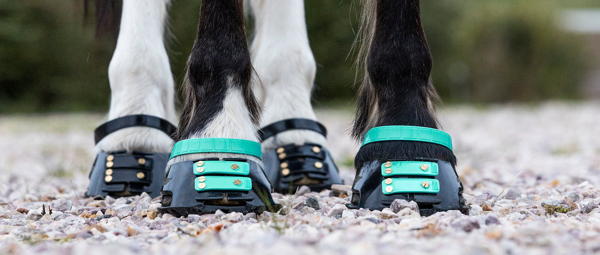 Scoot Boot Front Strap, Pack/6