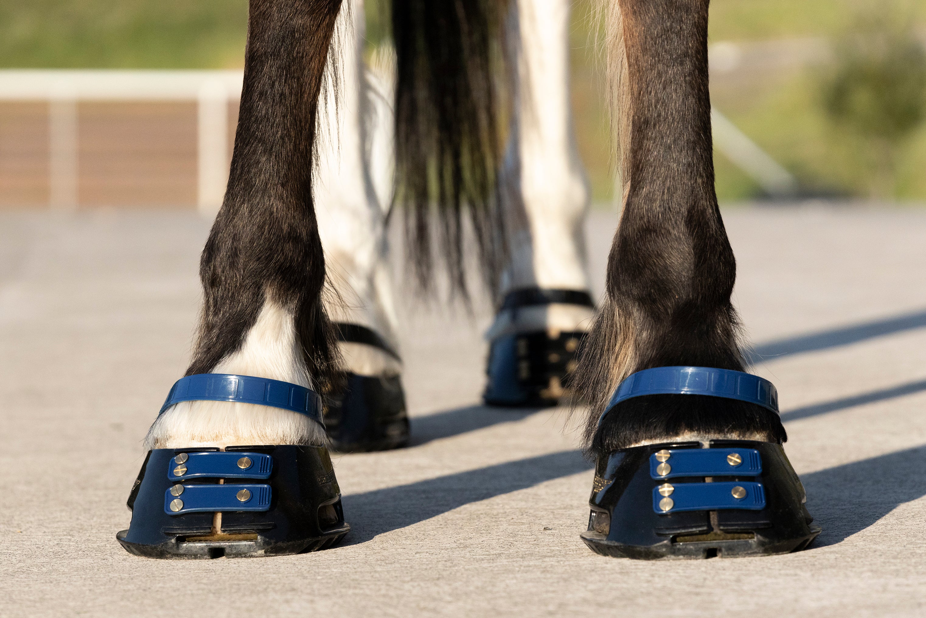 Scoot Boot Front Strap, Pack/6