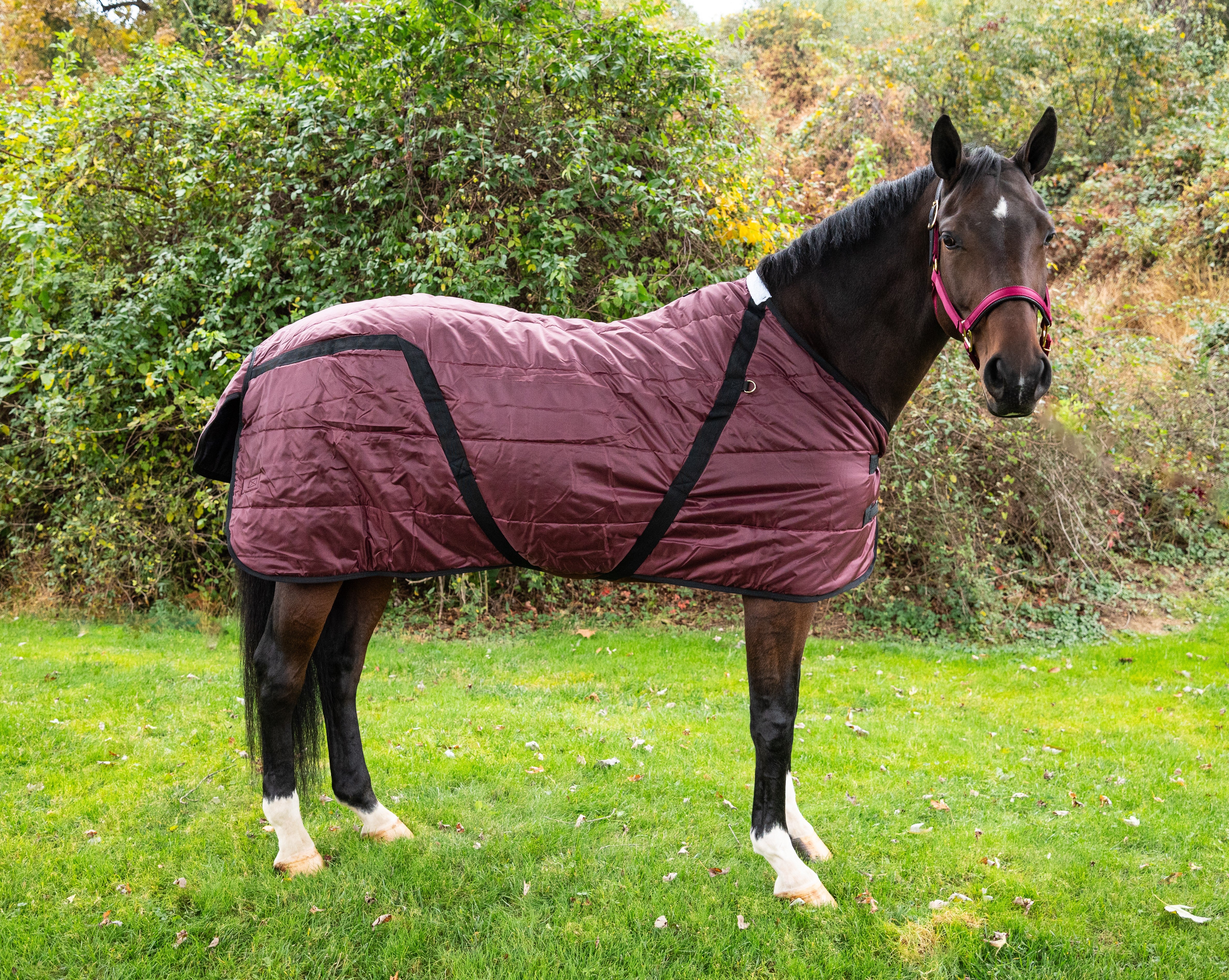 Snuggie Heavy Weight Stable Blanket - 350G, 420D FOB