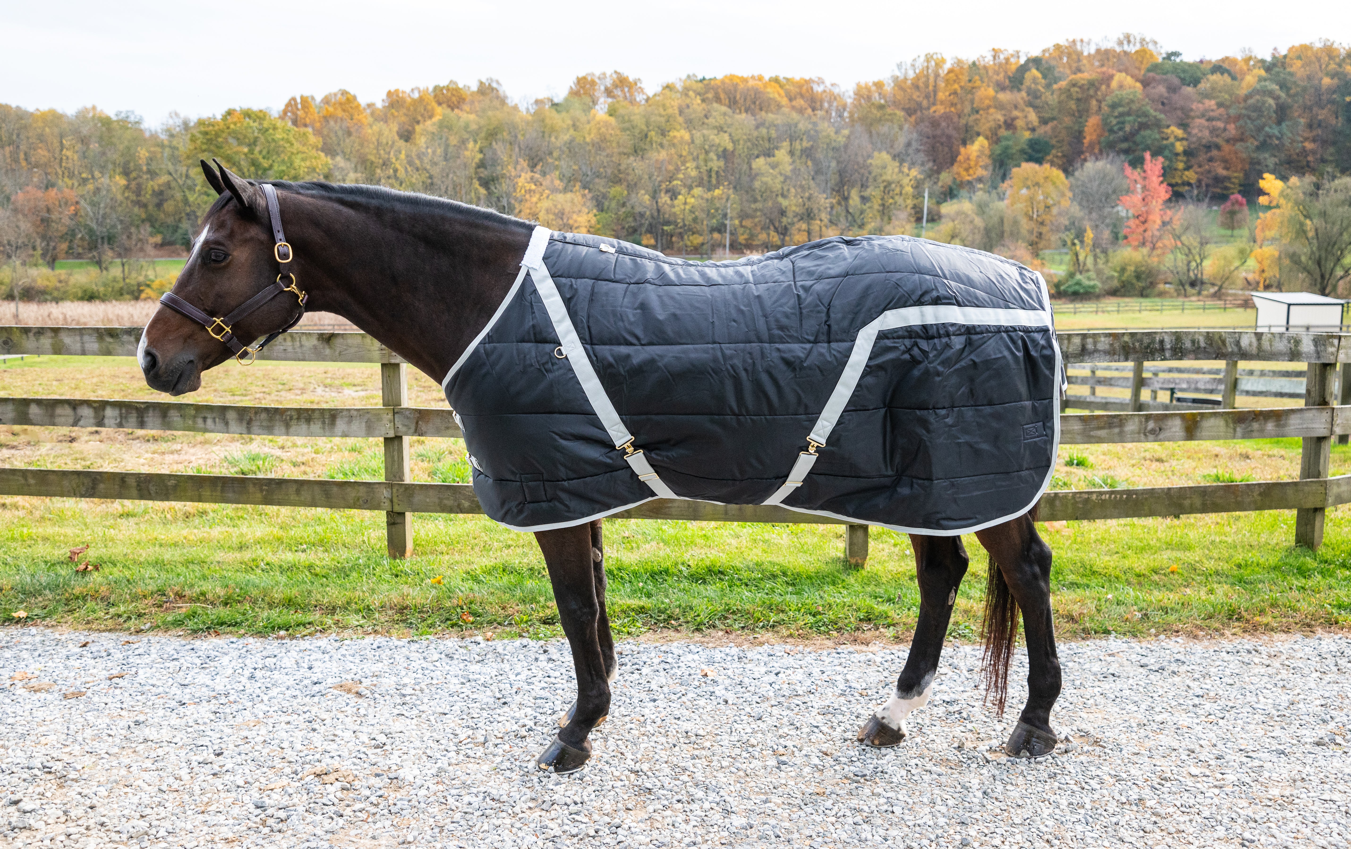 Snuggie Heavy Weight Stable Blanket - 350G, 420D FOB