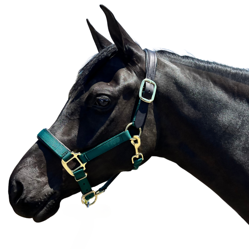 Premium Nylon Breakaway Halter with Padded Crown/Nose