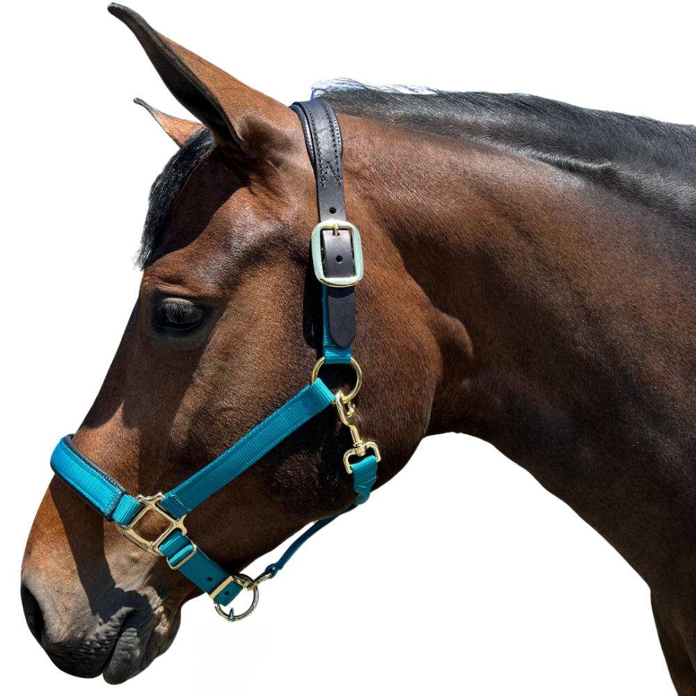 Premium Nylon Breakaway Halter with Padded Crown/Nose