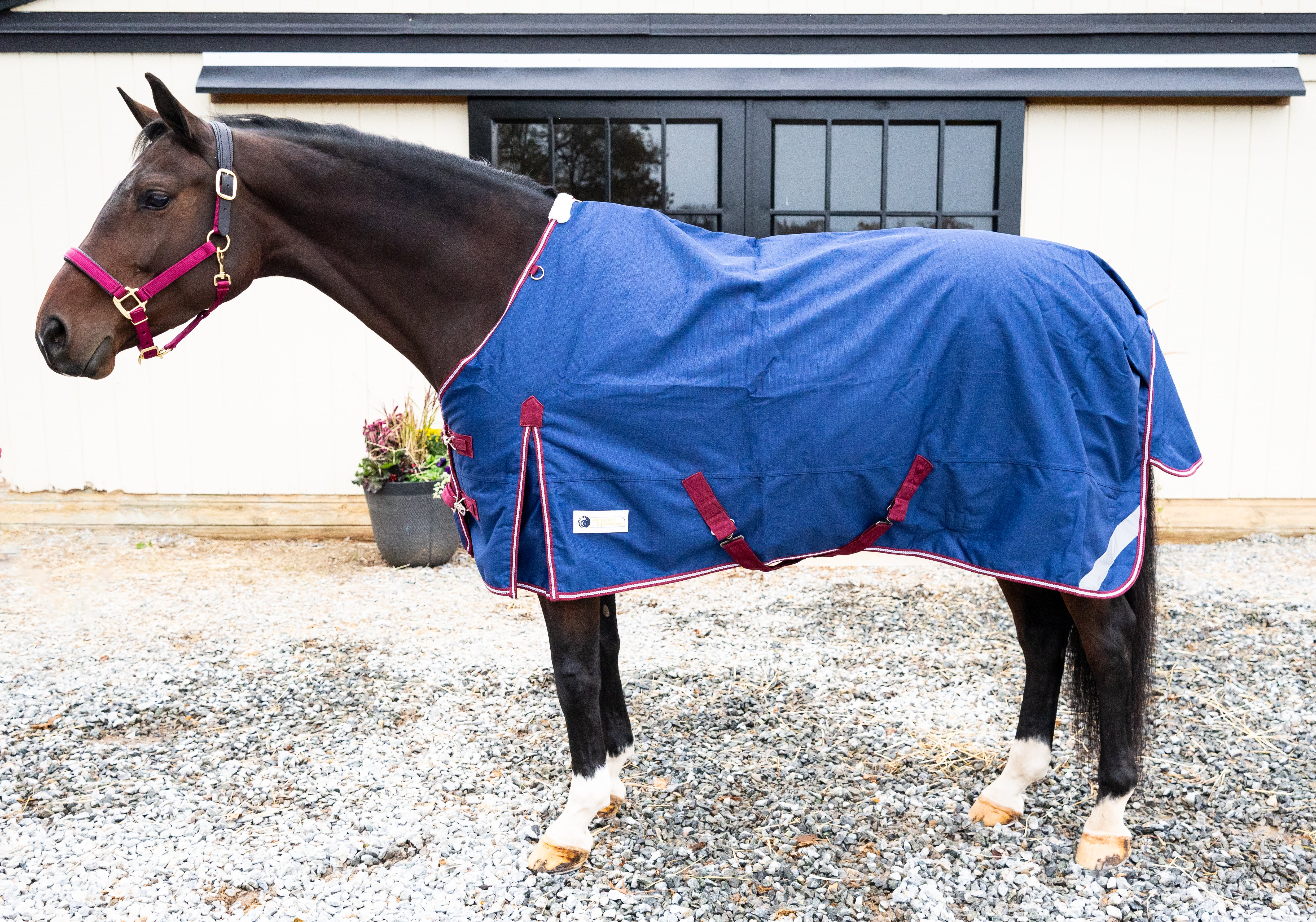 Pro-Trainer Turnout Blanket with Detachable Neck Cover, 1200D - Navy