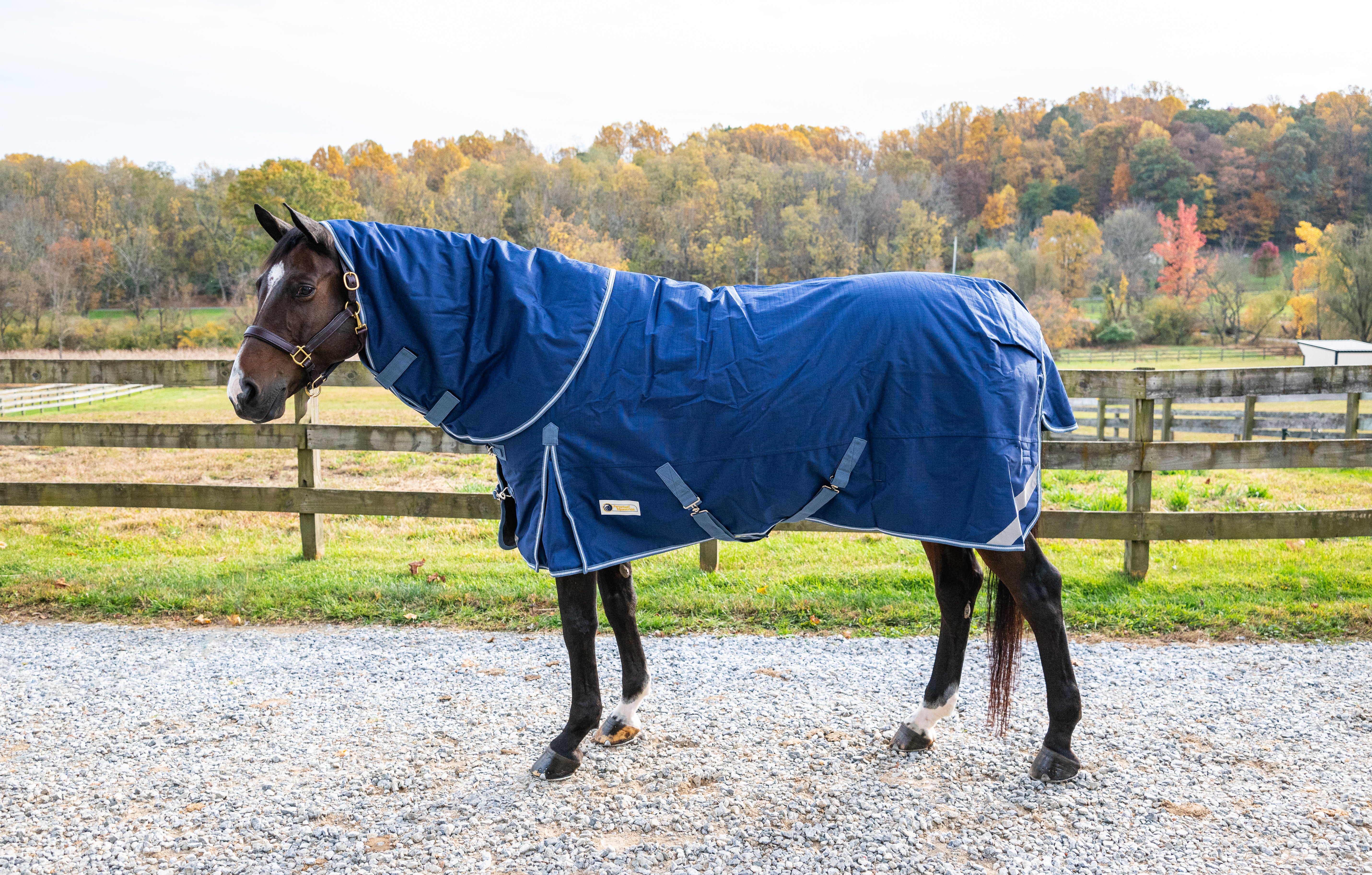 Pro-Trainer Turnout Blanket with Detachable Neck Cover, 1200D - Navy