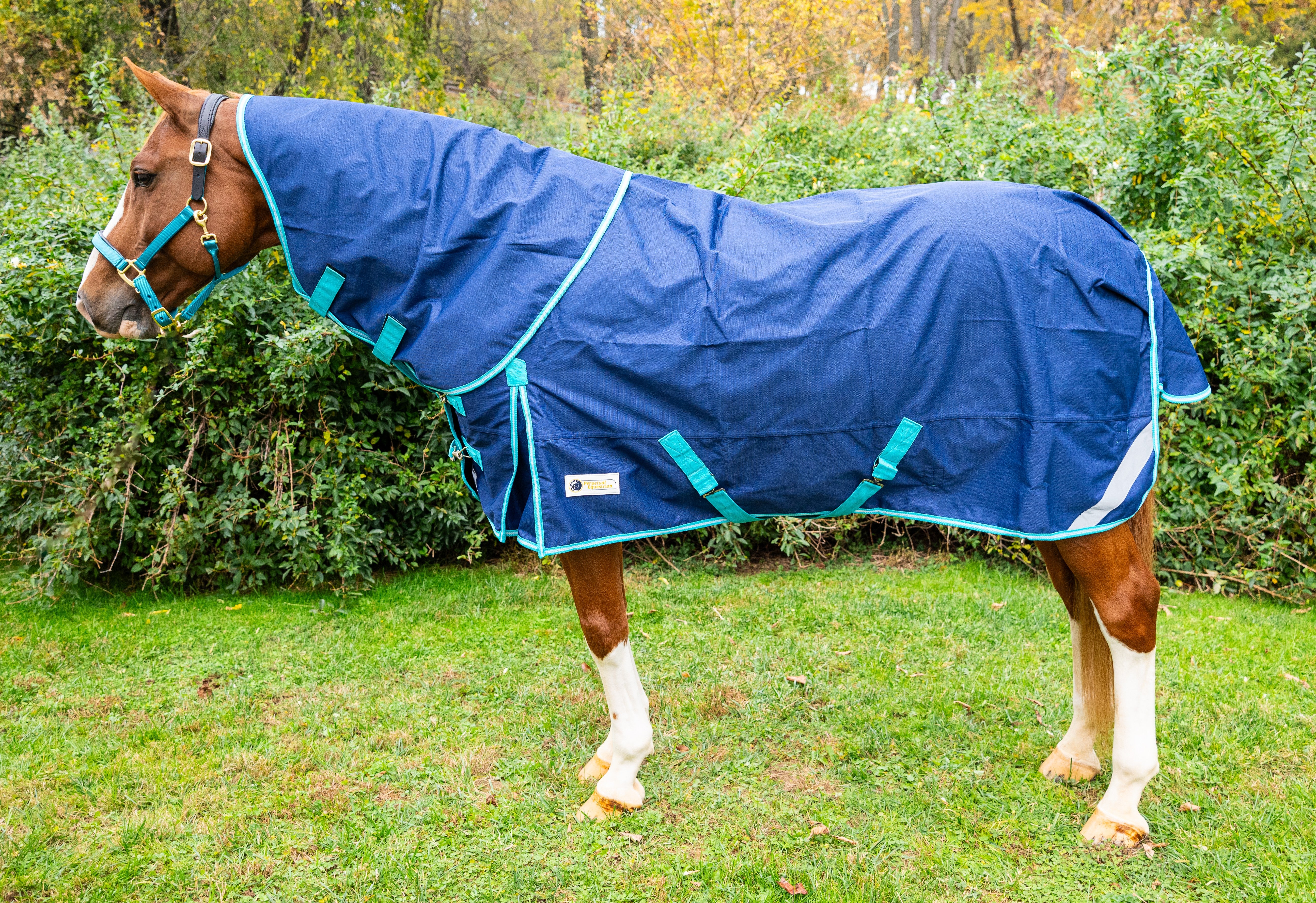 Pro-Trainer Turnout Blanket with Detachable Neck Cover, 1200D - Navy