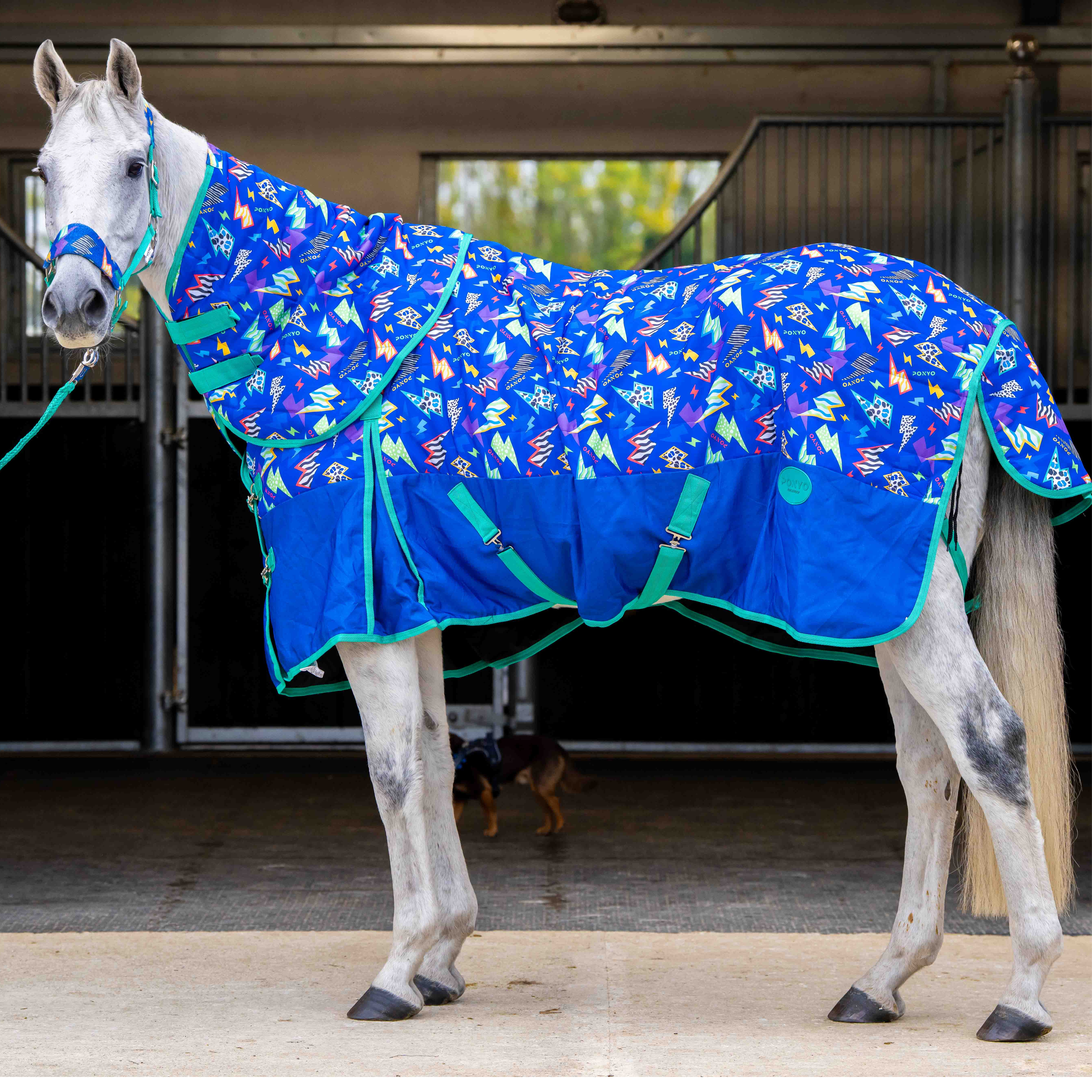 Ponyo Horsewear Thunderstruck Stable Rug