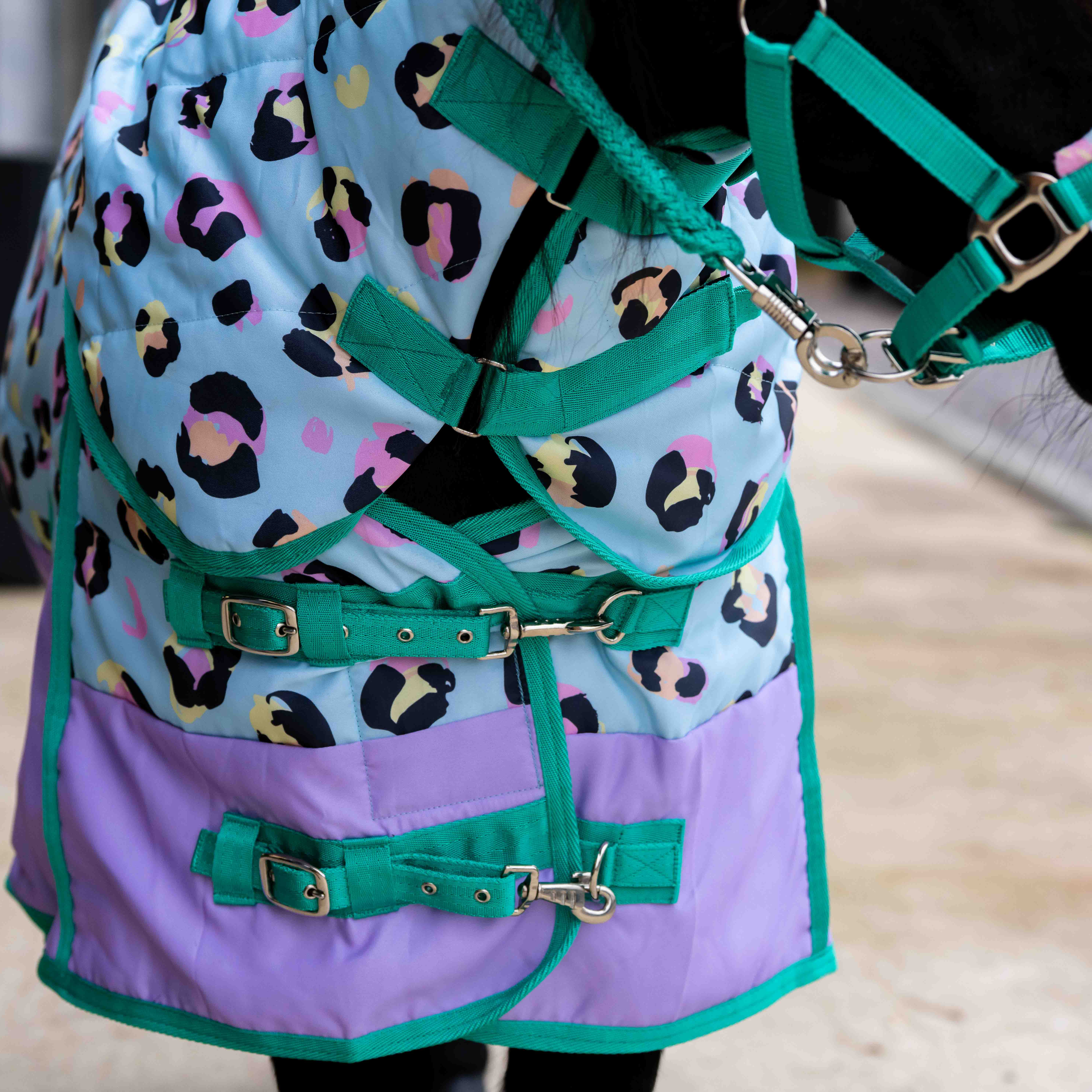 Ponyo Horsewear Wild One Stable Rug