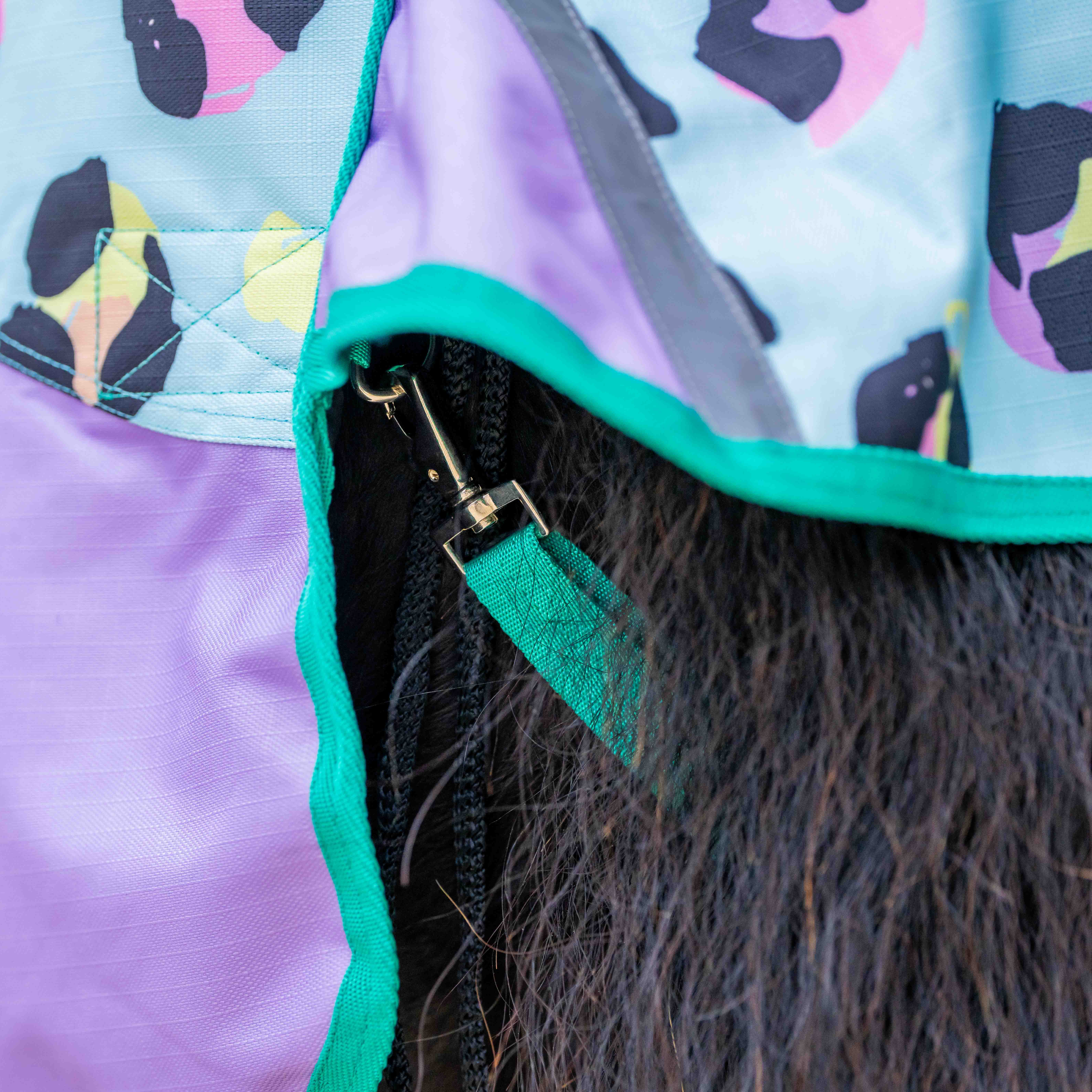 Ponyo Horsewear Wild One Turnout Rug