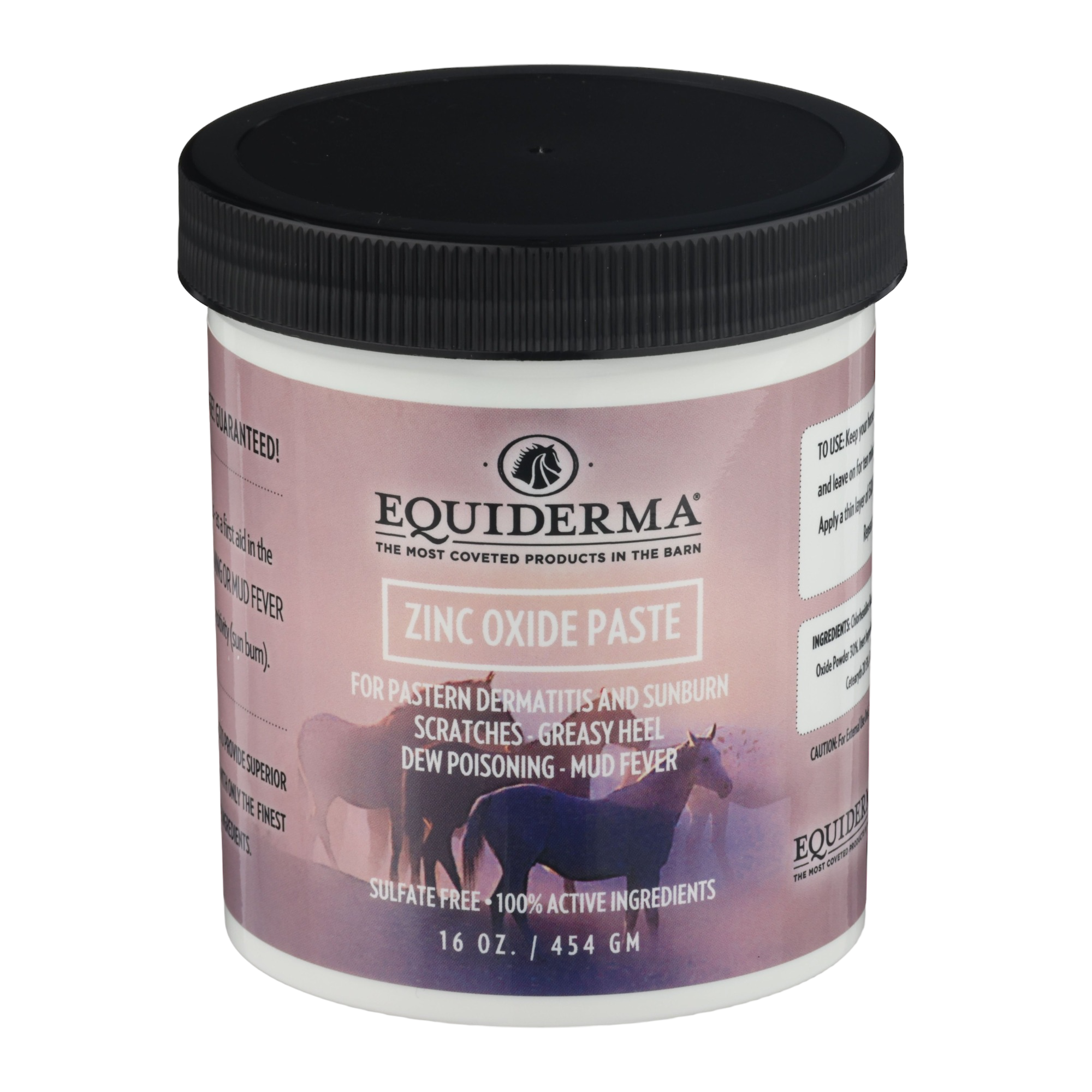 Equiderma Zinc Paste 16 oz