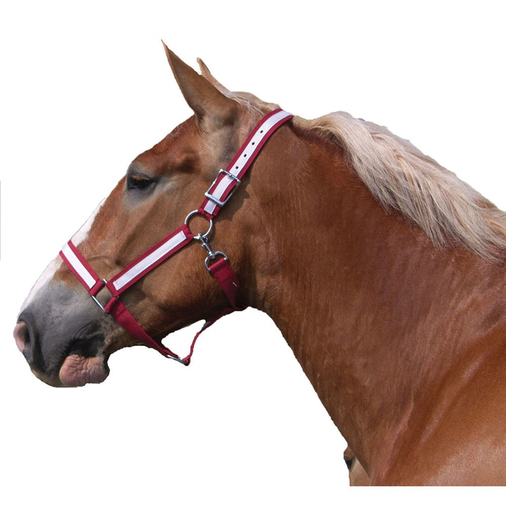 Poly Draft Horse Halter with Overlay
