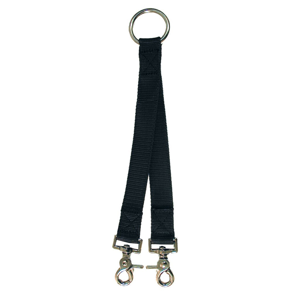 Lunge Strap