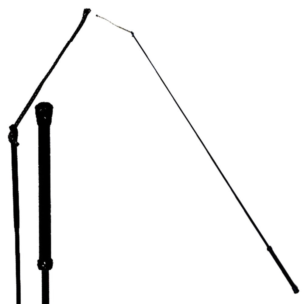 Colorful Training Whip 39"