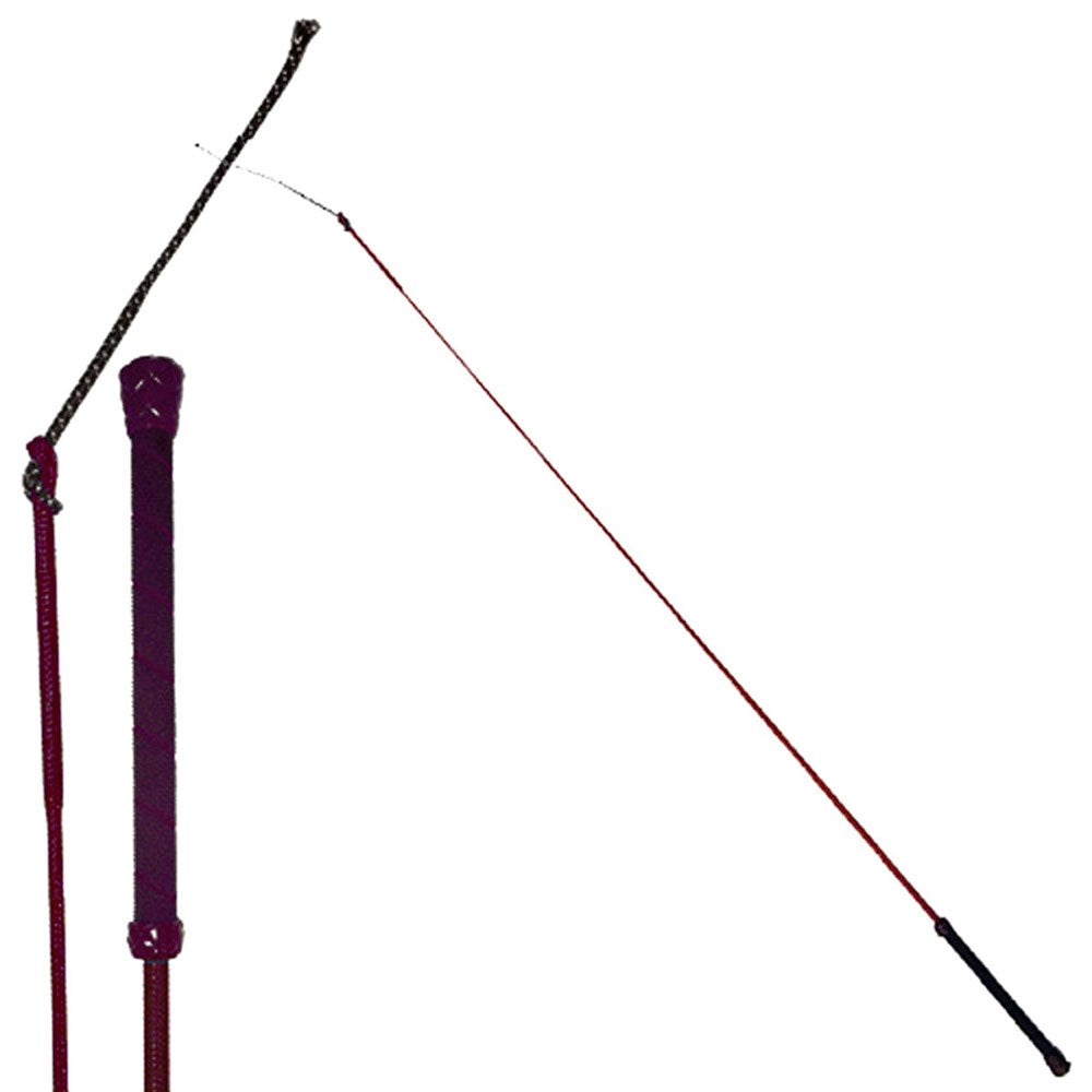 Colorful Training Whip 39"