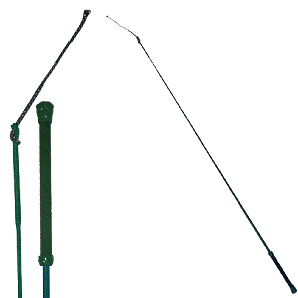 Colorful Training Whip 39"