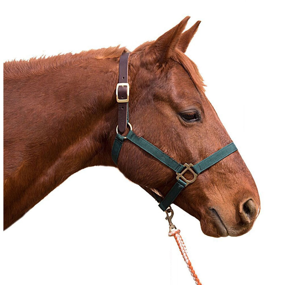 1" Nylon Breakaway Halter