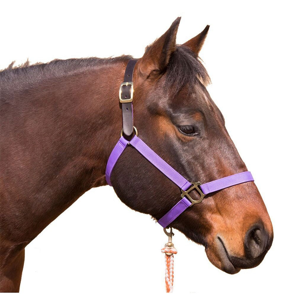1" Nylon Breakaway Halter