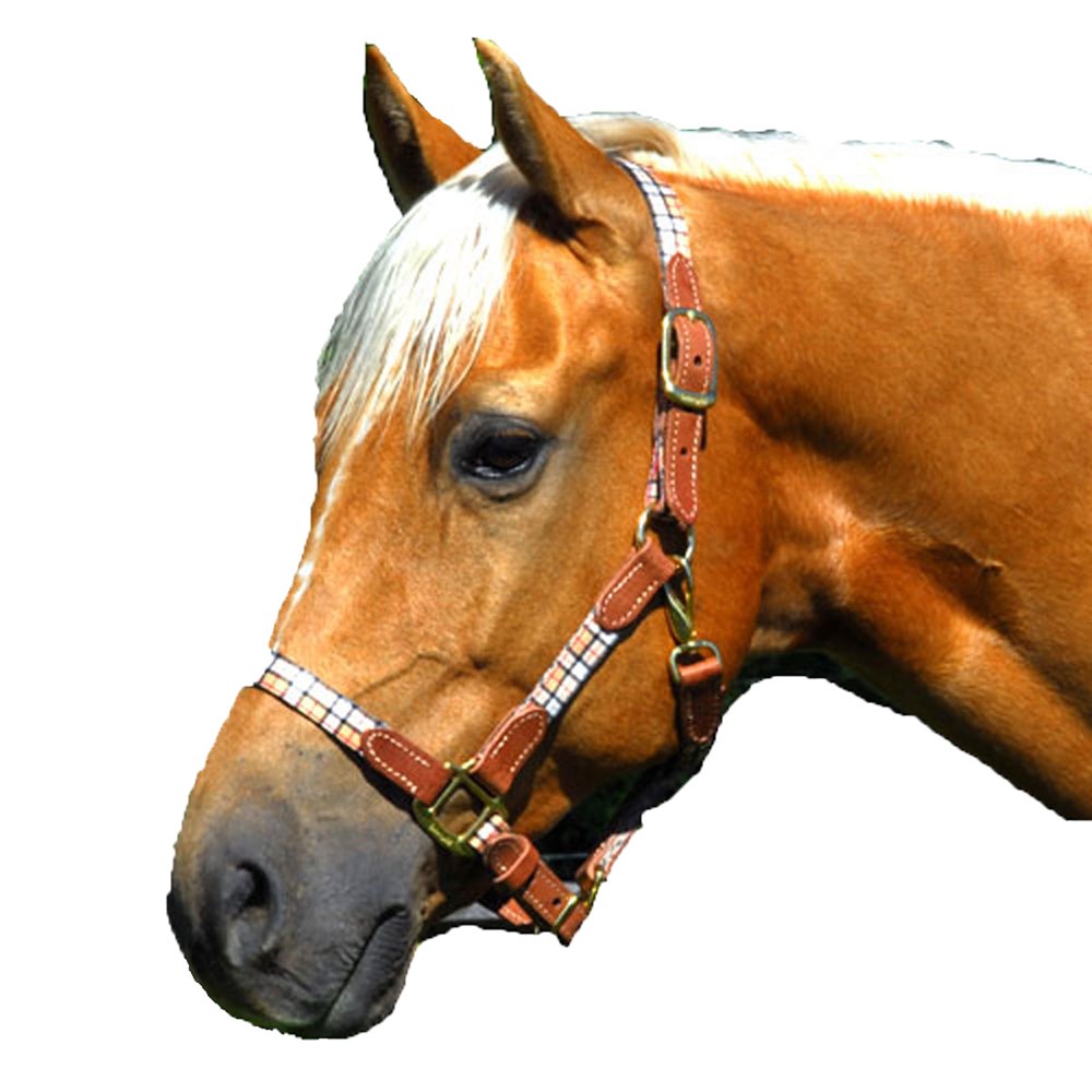 1" Highland Plaid Nylon Halter with Leather Accents