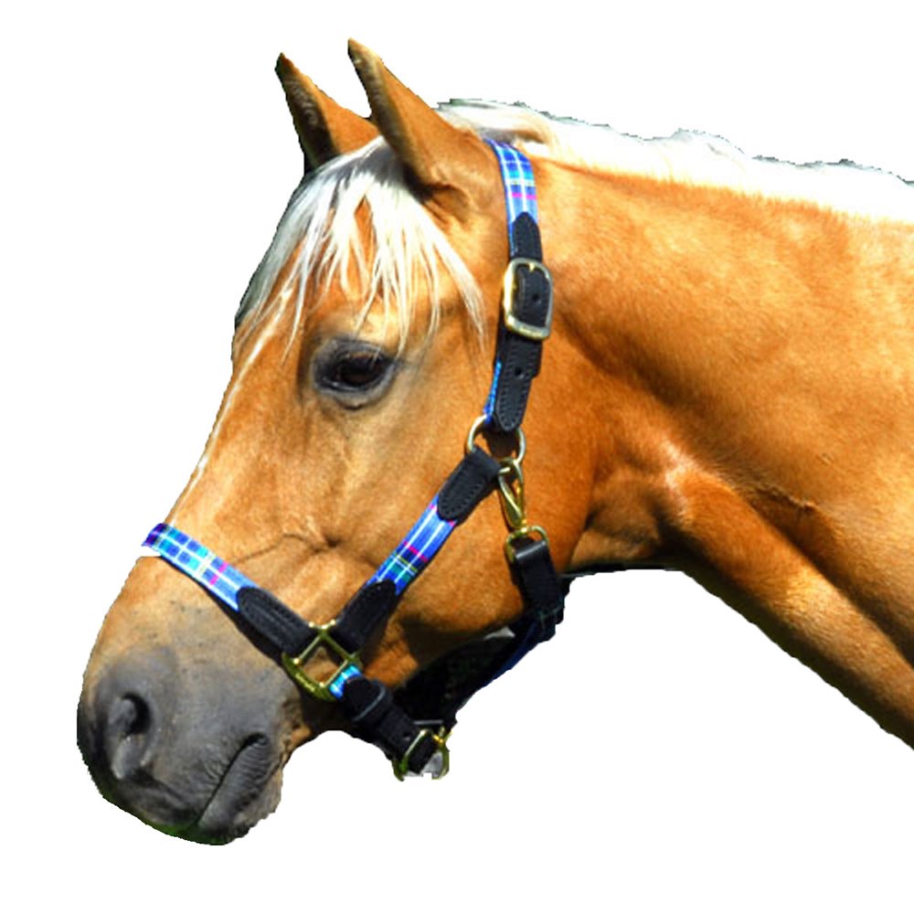 1" Highland Plaid Nylon Halter with Leather Accents
