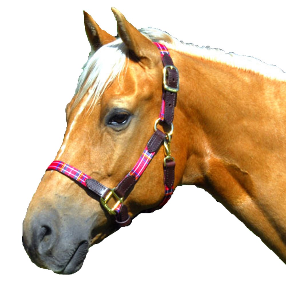 1" Highland Plaid Nylon Halter with Leather Accents
