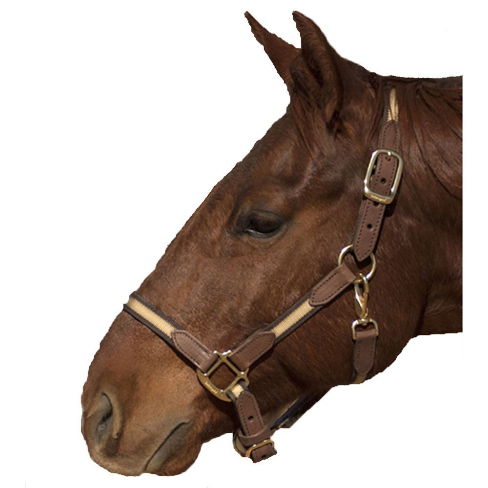 Two Tone Brown Nylon Halter with Leather Trim - Cob