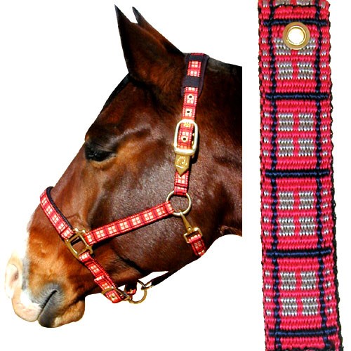 1" Padded Plaid Nylon Halter