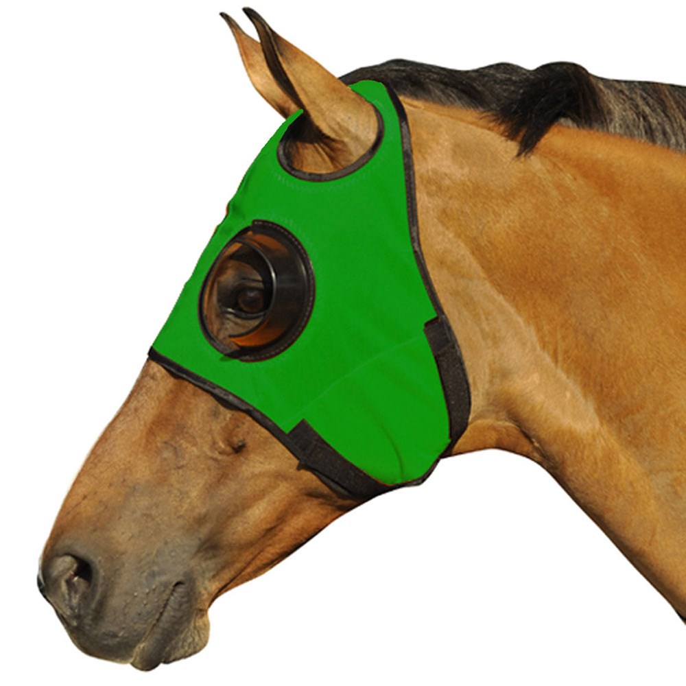 Can't See Back Quarter Cup Blinker Hood