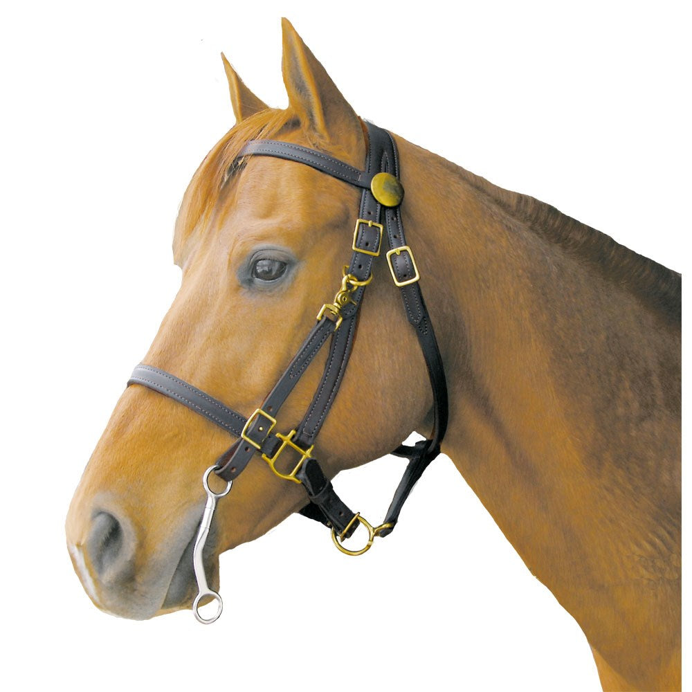 Shenandoah Trail Bridle Halter Combo with Solid Brass Hardware