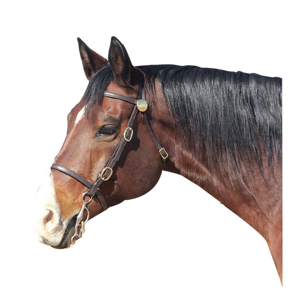 Shenandoah Trail 5/8" Bridle with Solid Brass Hardware