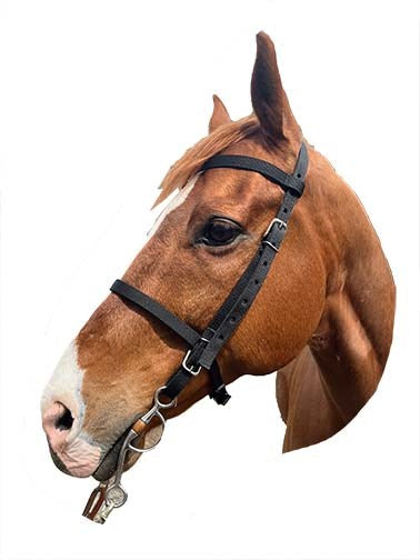 Nylon Western Headstall - Black