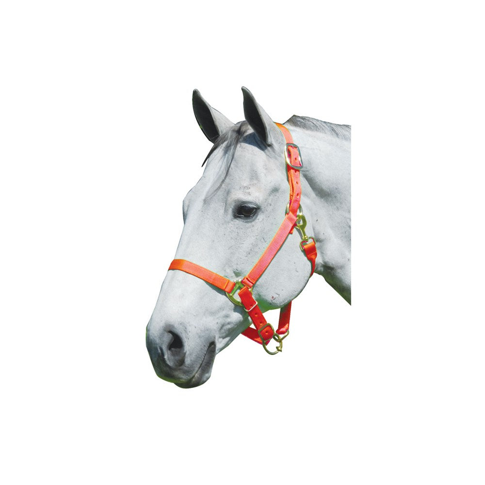 1" Nylon Adjustable Horse Halter